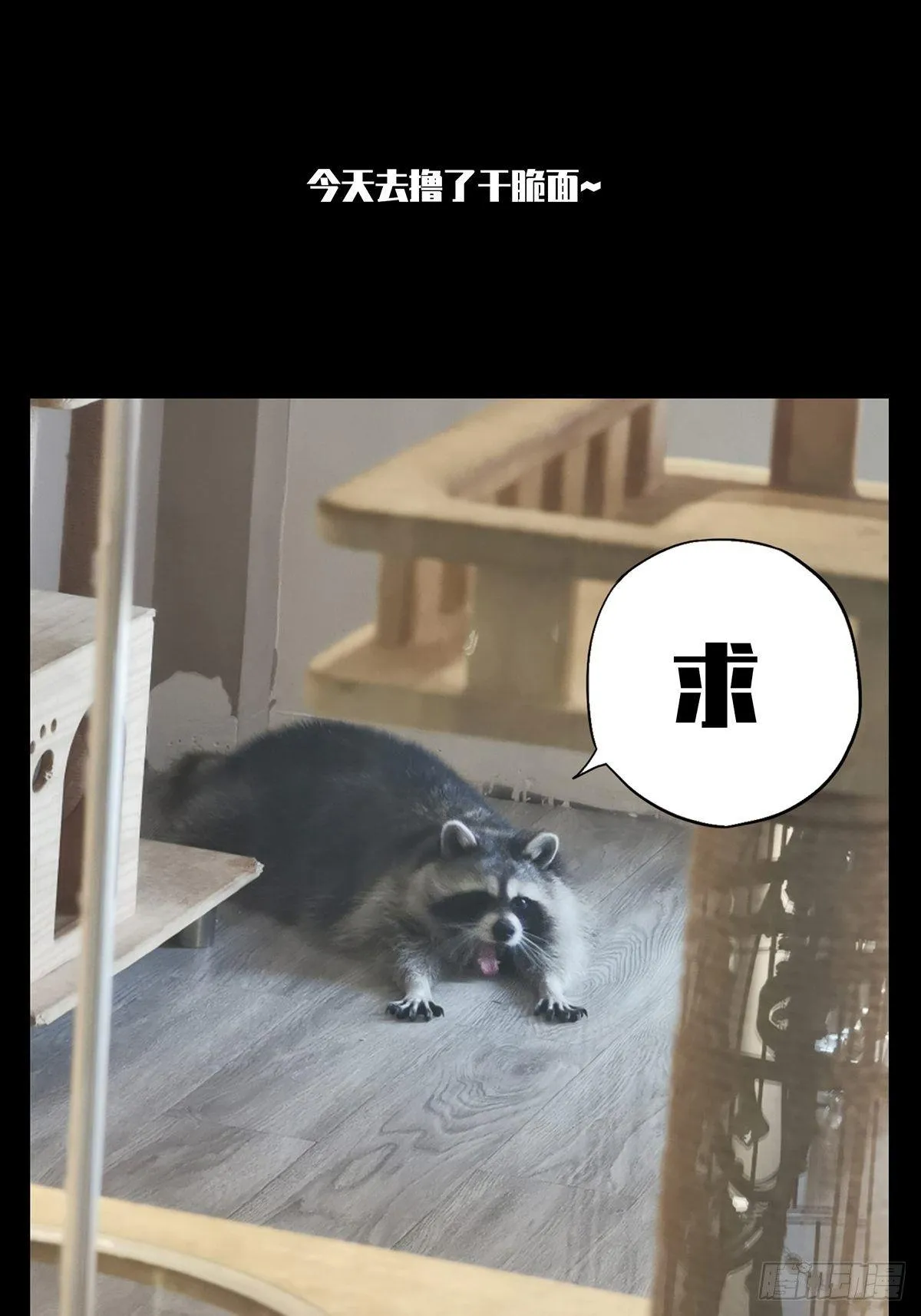 第八十五章_神秘组织下 第39页