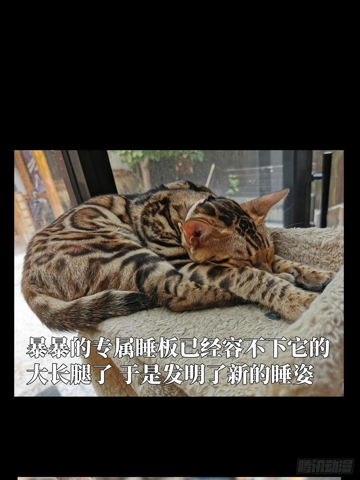 第九十章_君上中 第33页