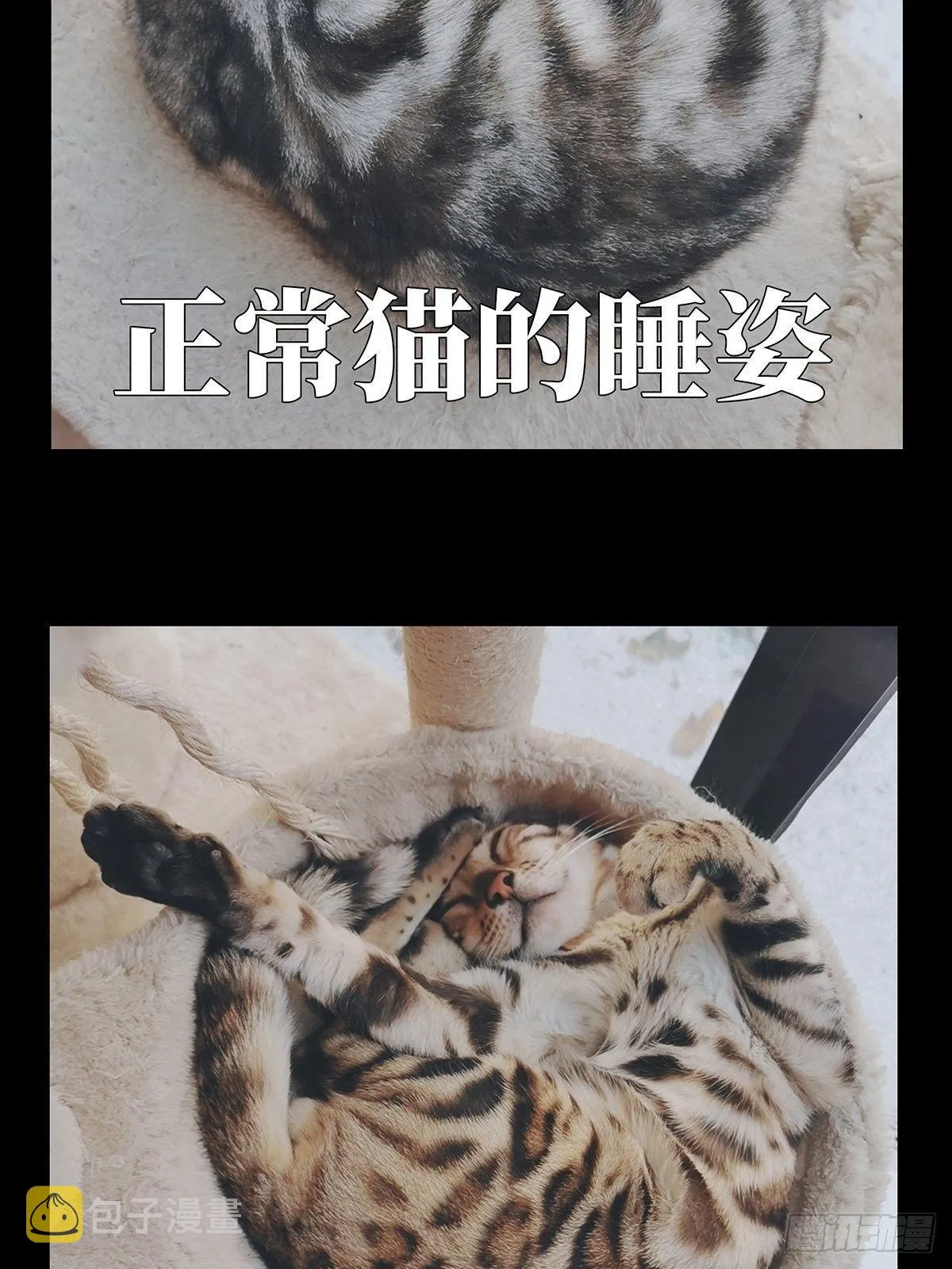 第九十五章_灵息上 第37页