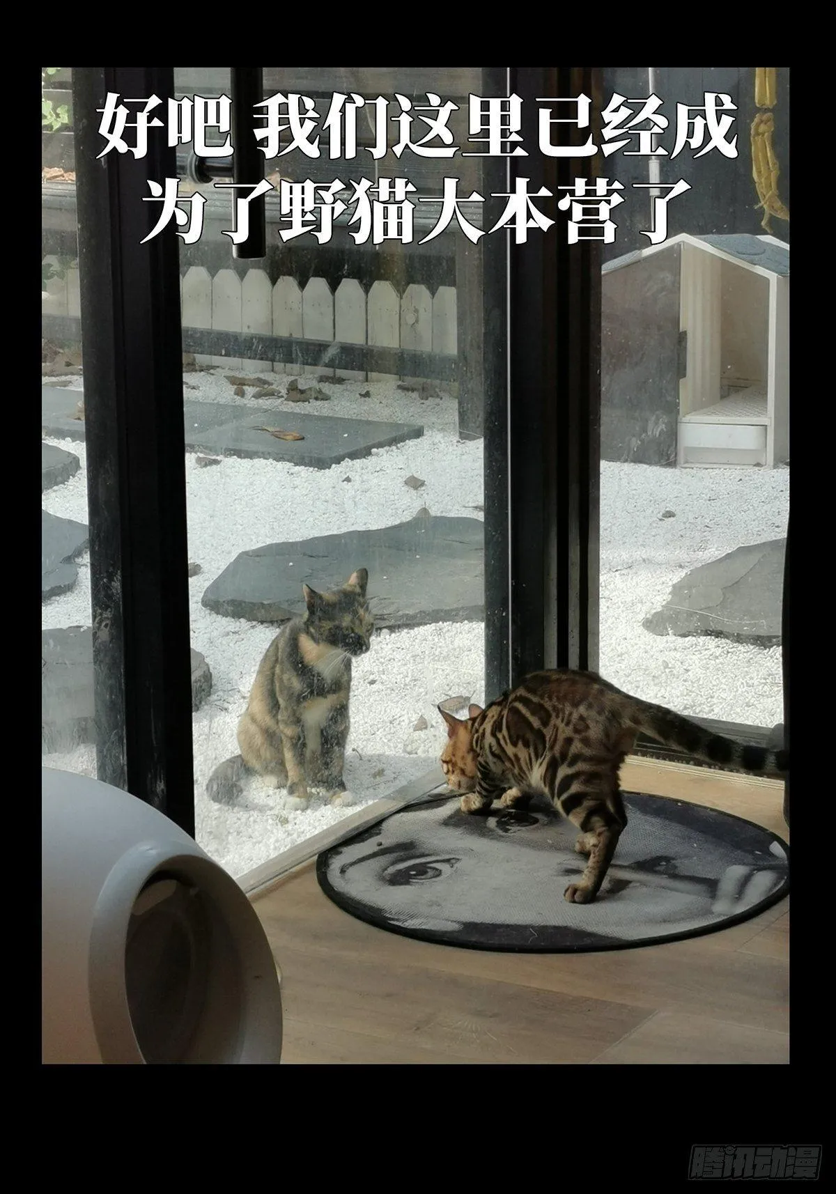 第九十七章_灵息下 第33页
