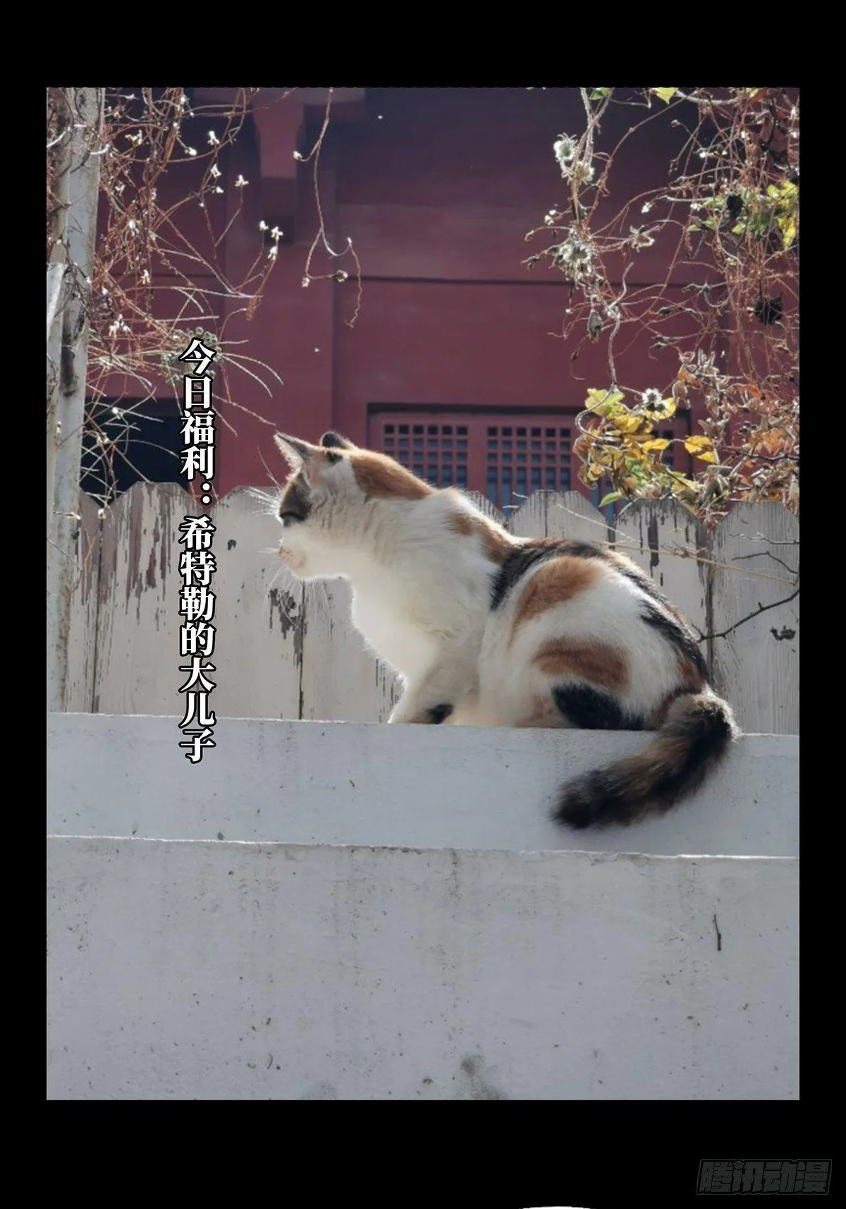 第九十九章_赐教中 第33页