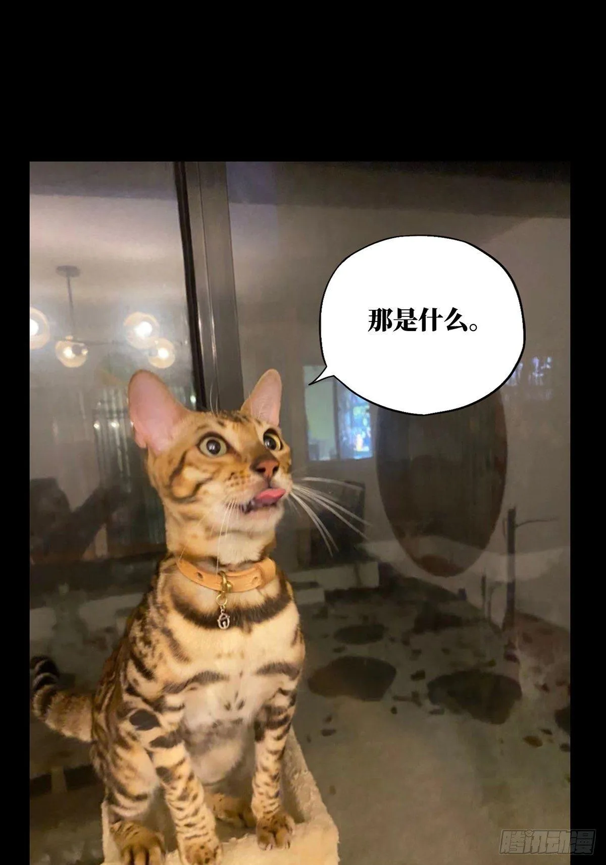 第一百零三章_上古妖灵下 第36页
