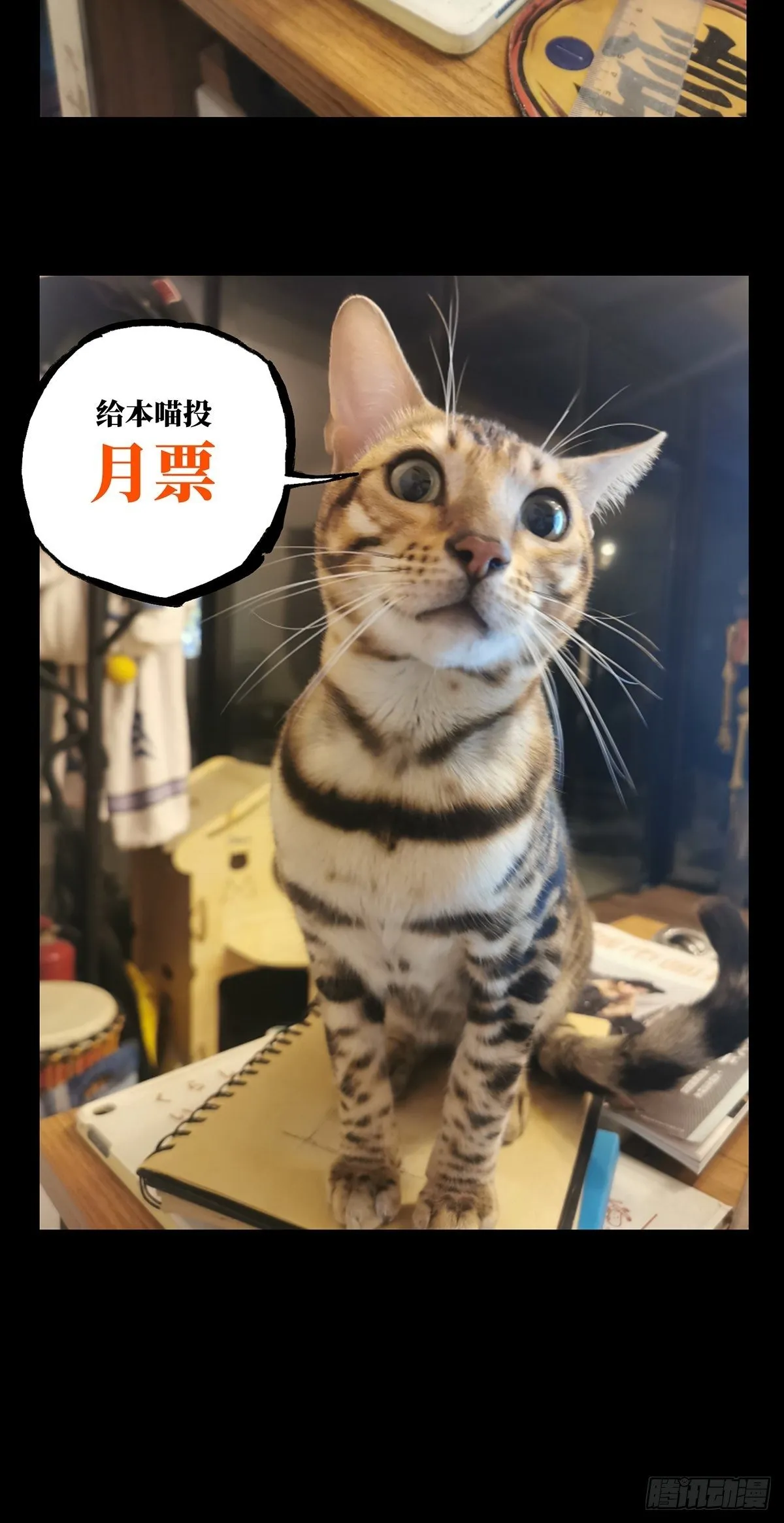 第一百零五章_来临中 第36页