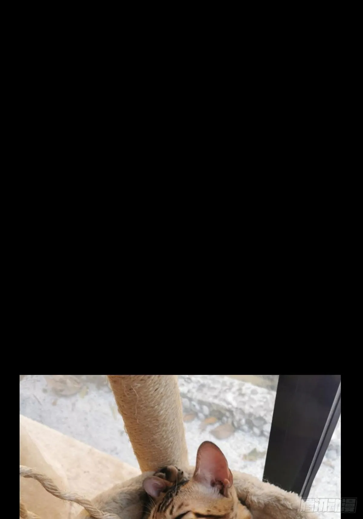第一百一十一章_封锁中 第33页