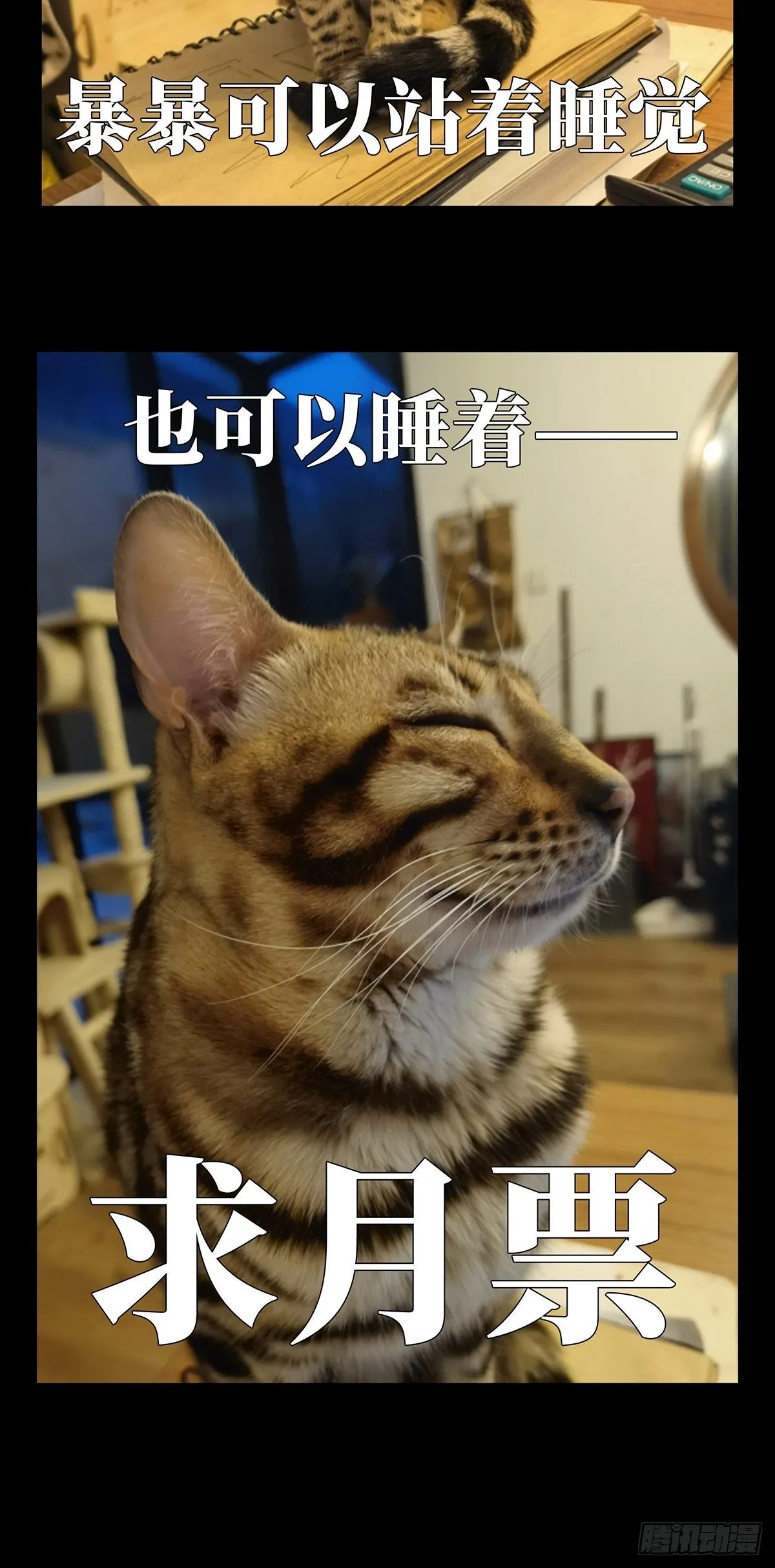 第一百一十三章_强者登场上 第40页