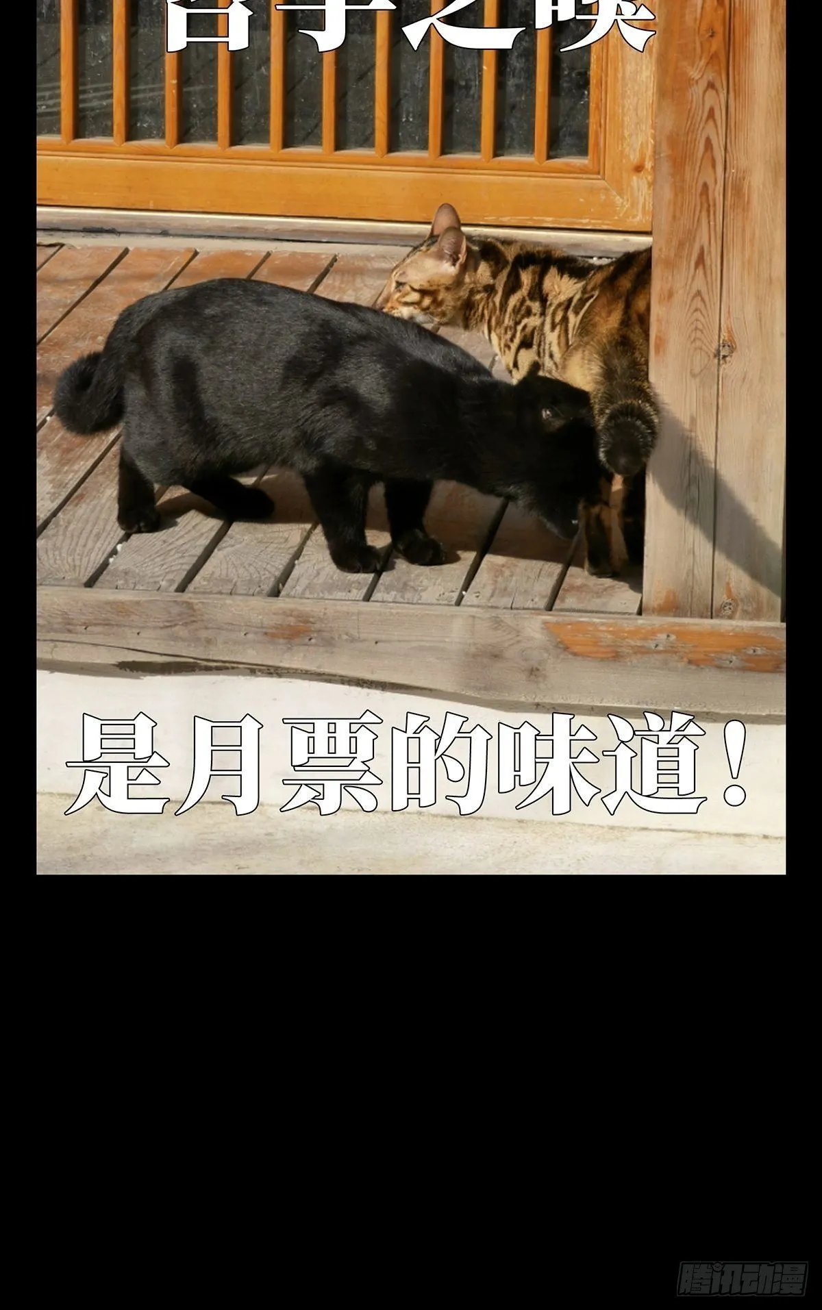 第一百一十七章_灵域中 第50页