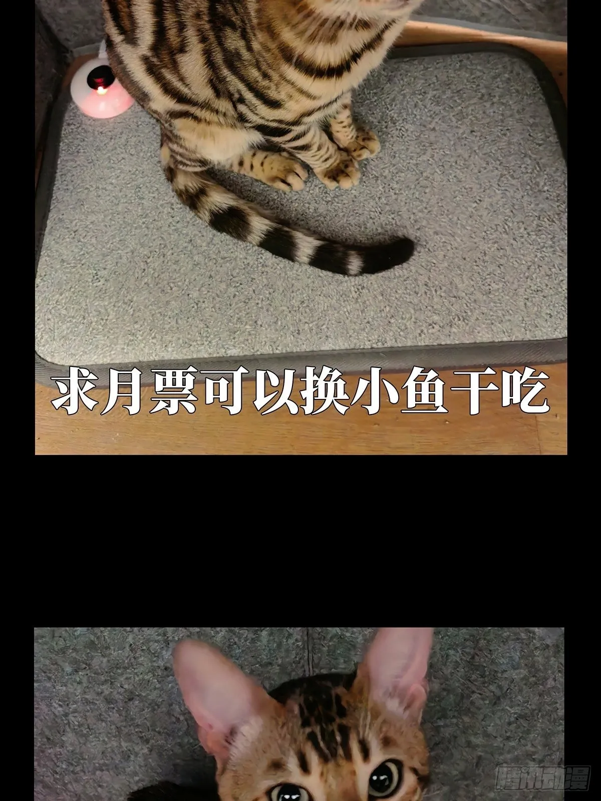 第一百一十八章_灵域下 第46页