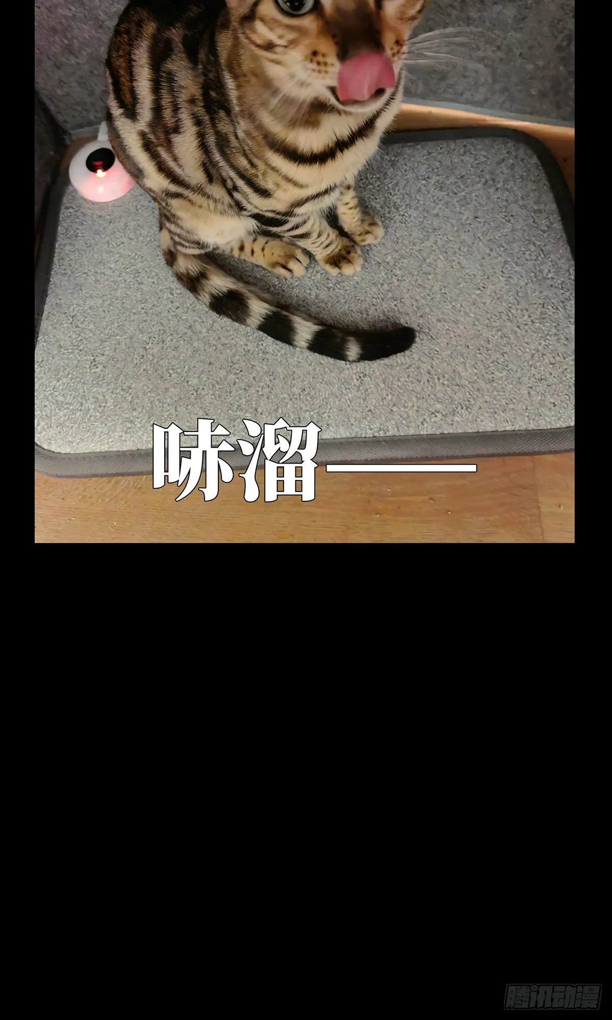 第一百一十八章_灵域下 第47页