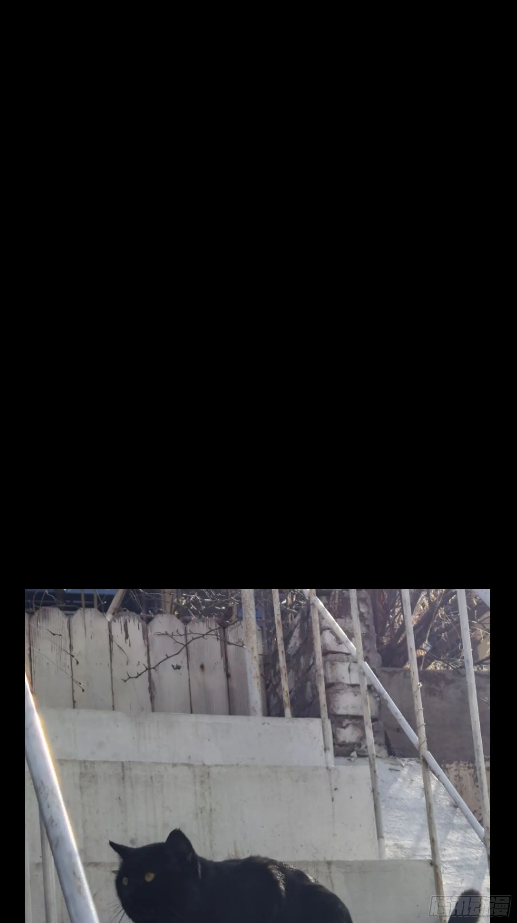 第一百一十九章_对手上 第50页