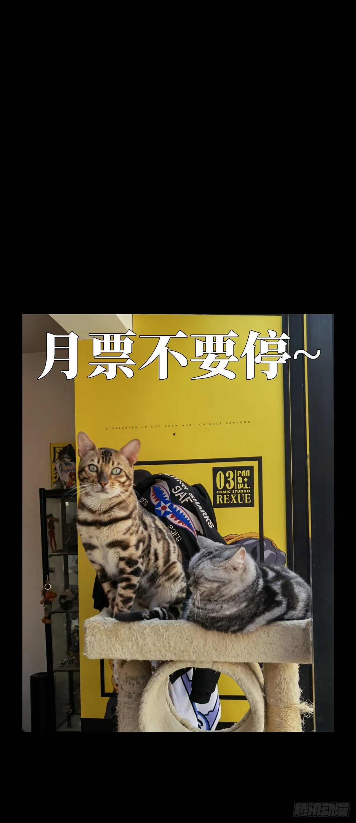 第一百二十一章_对手下 第50页