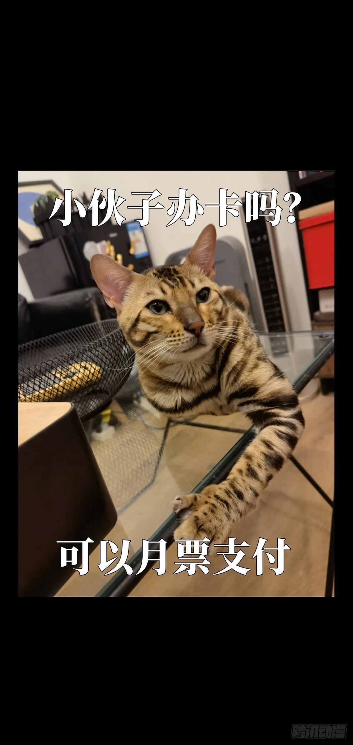 第一百二十三章_解惑中 第40页