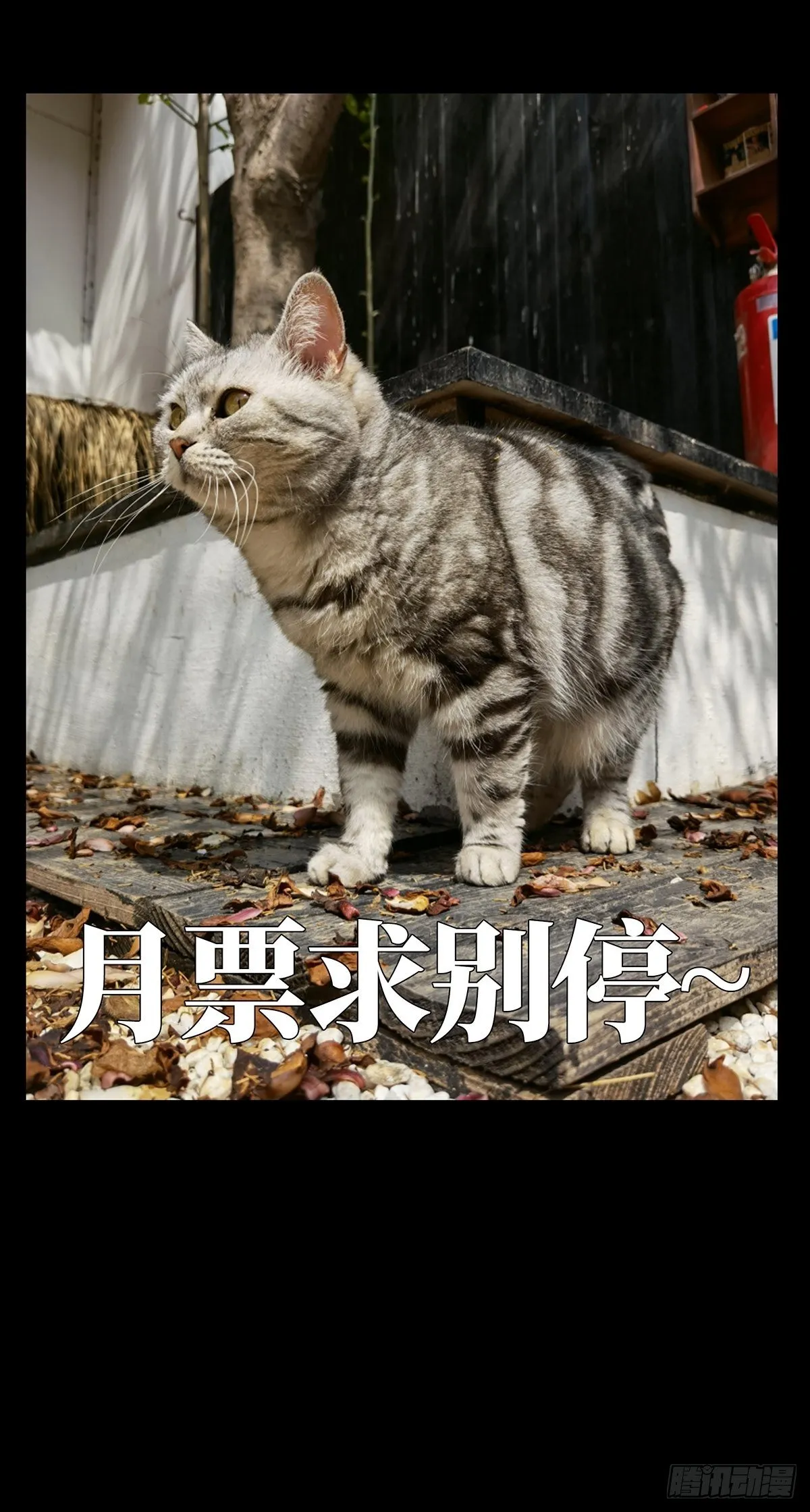 第一百二十八章_情愫上 第41页