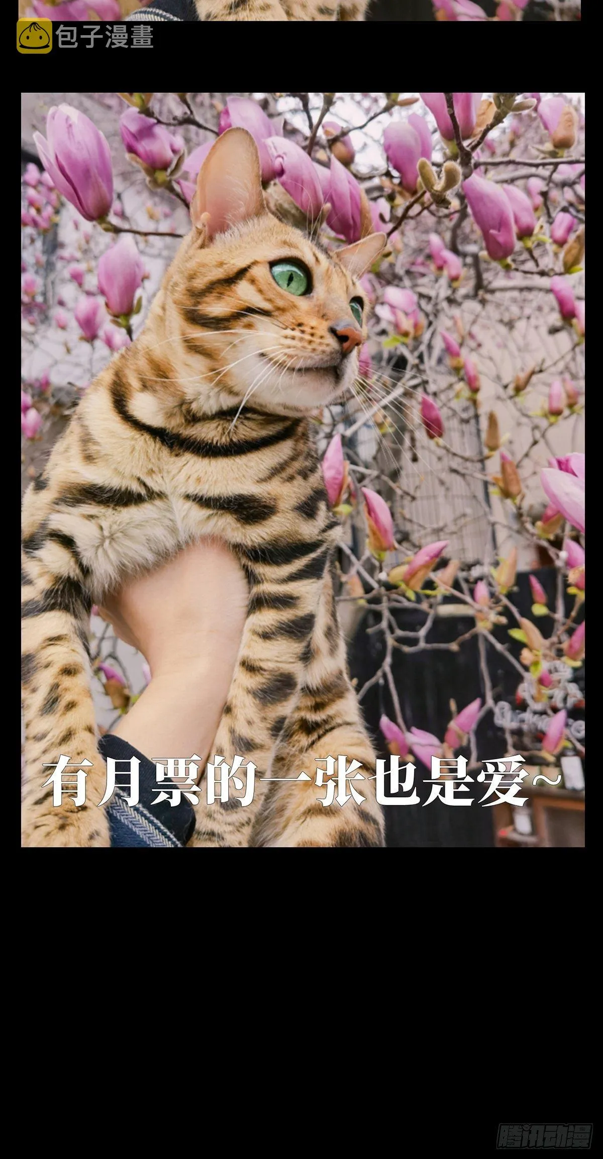 第一百二十七章_情感下 第47页