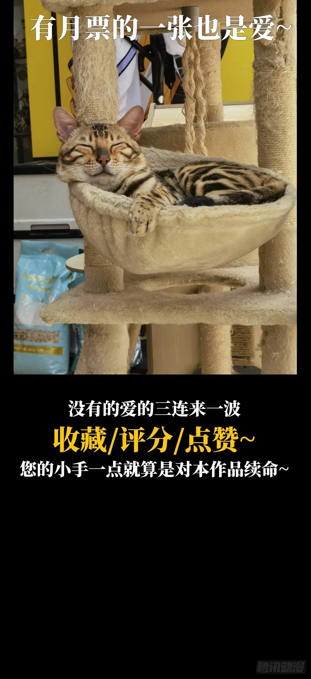 第一百二十九章_情愫中 第40页