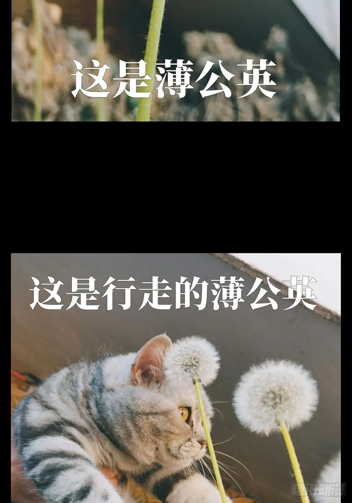 第一百三十章_情愫下 第42页