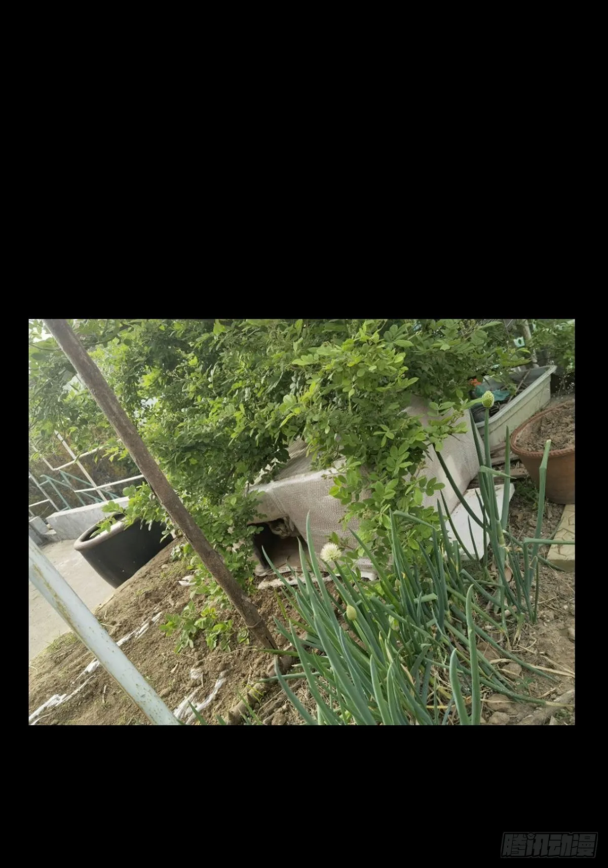 第一百三十三章_黄九郎下 第48页