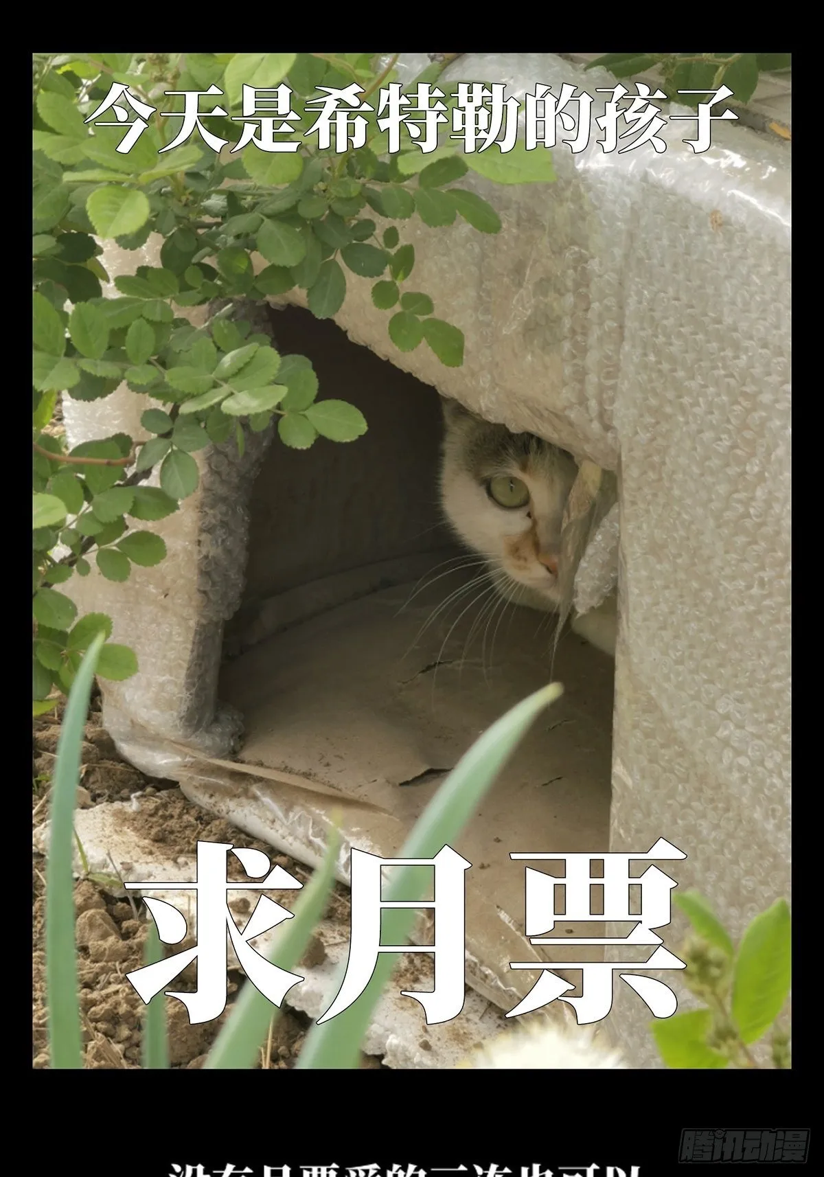 第一百三十三章_黄九郎下 第49页