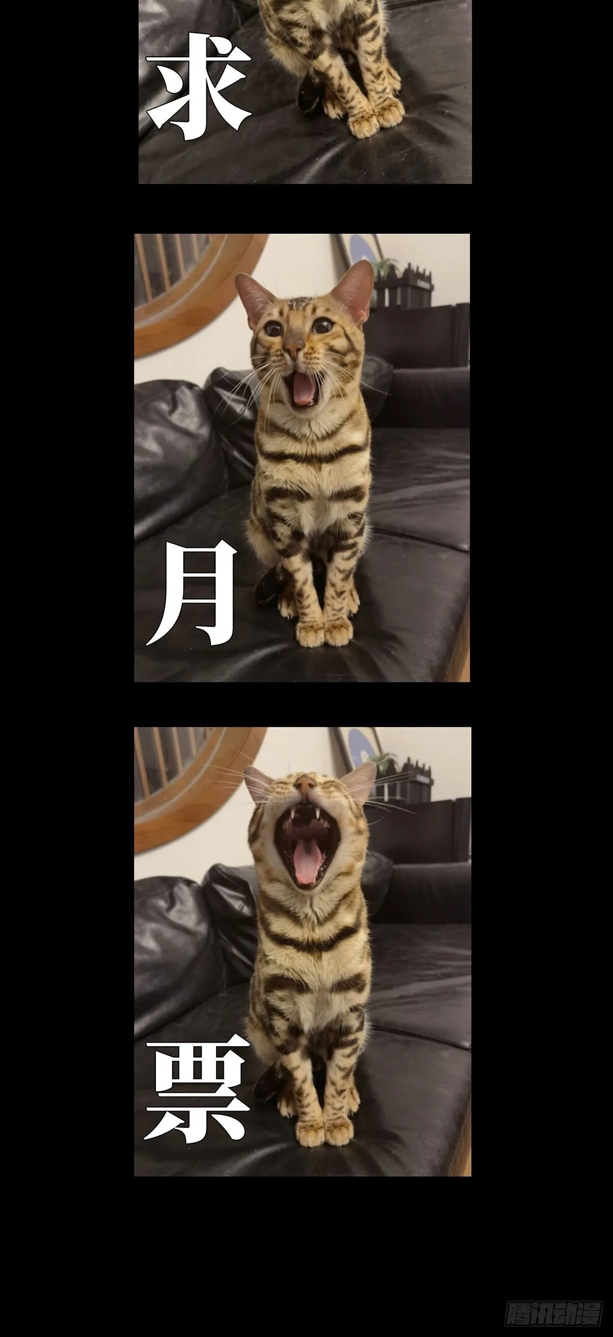第一百三十四章_任务上 第38页