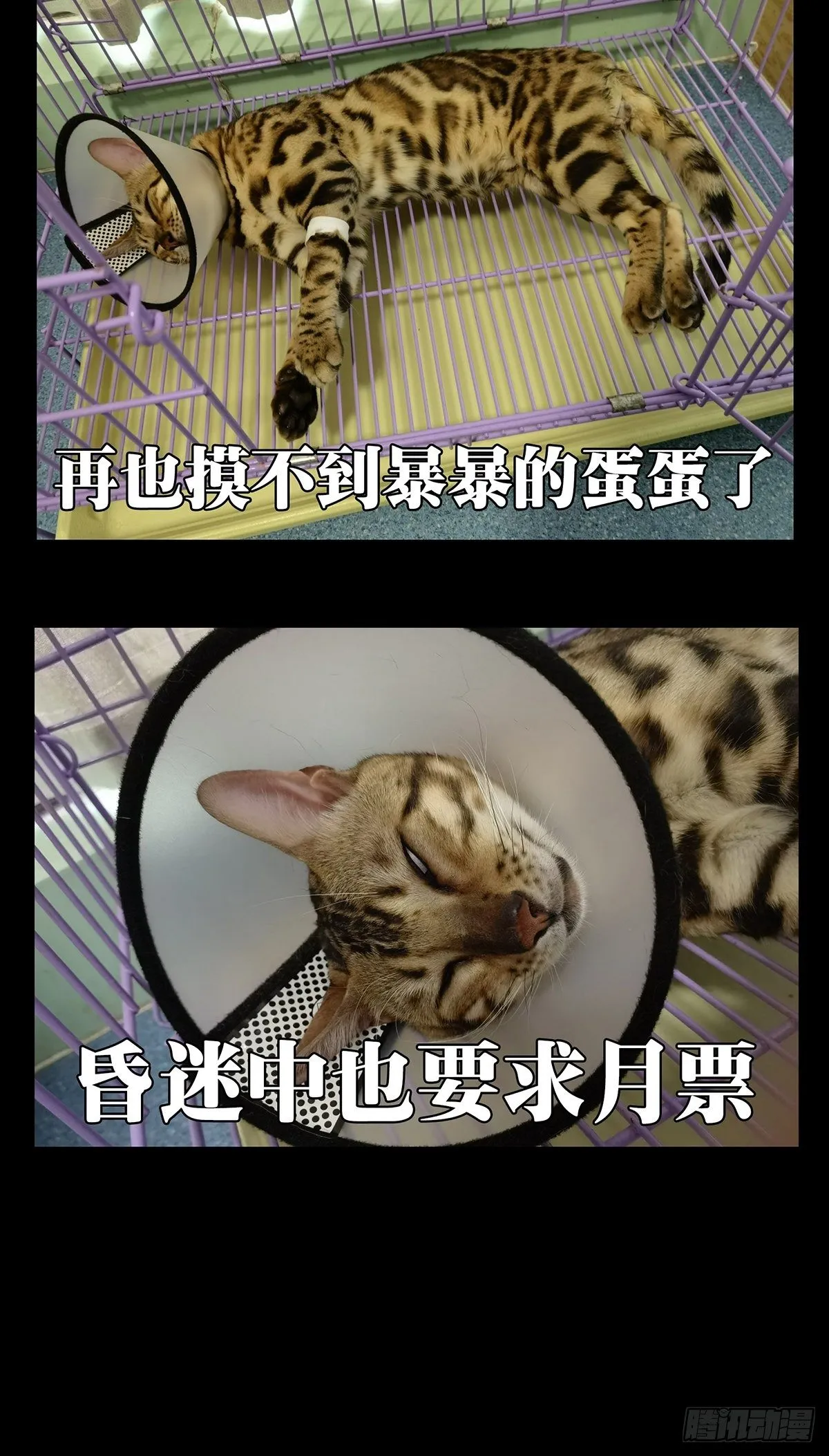 第一百四十四章_舍命中 第39页