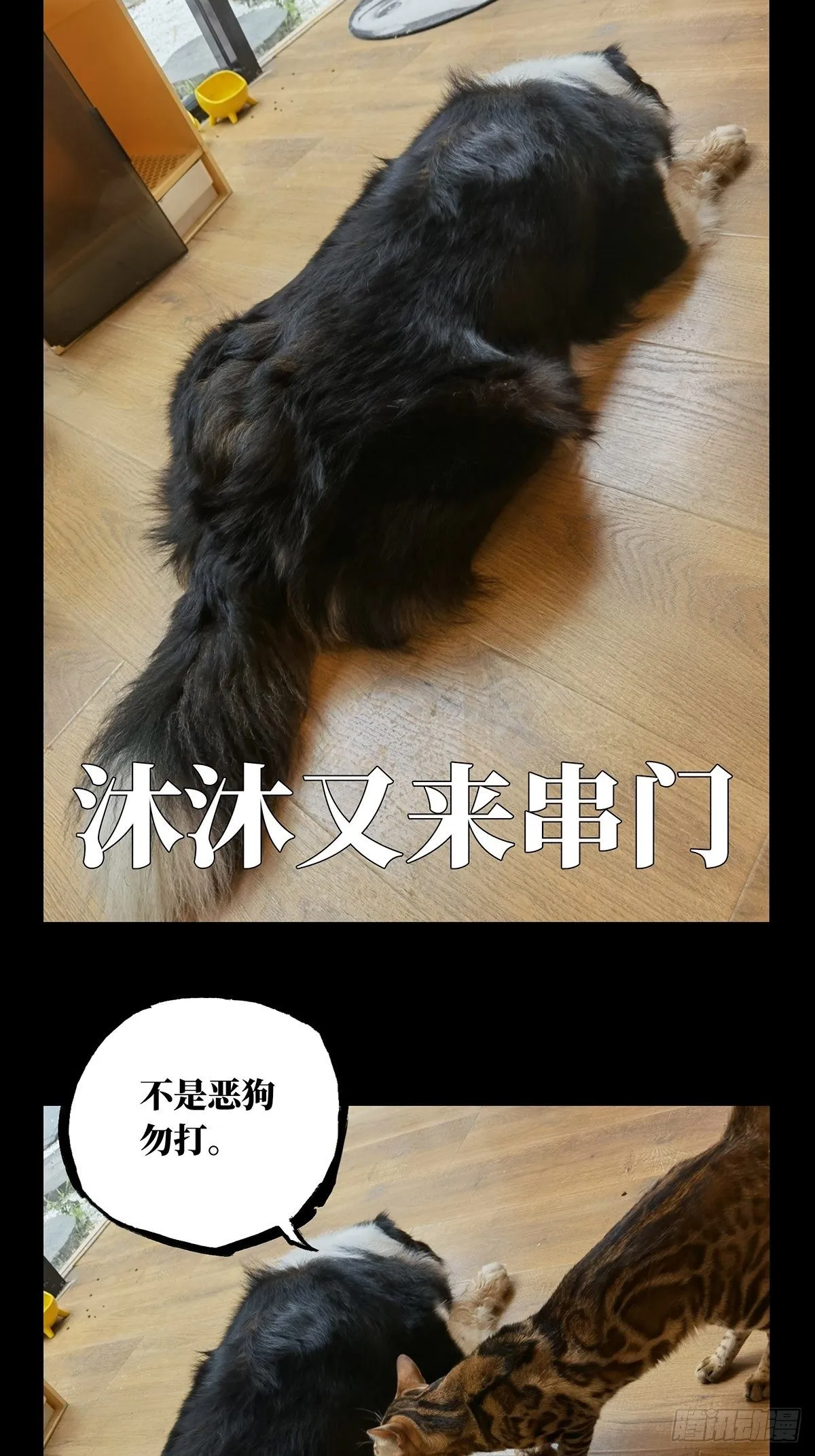 第一百四十八章_能力下 第44页