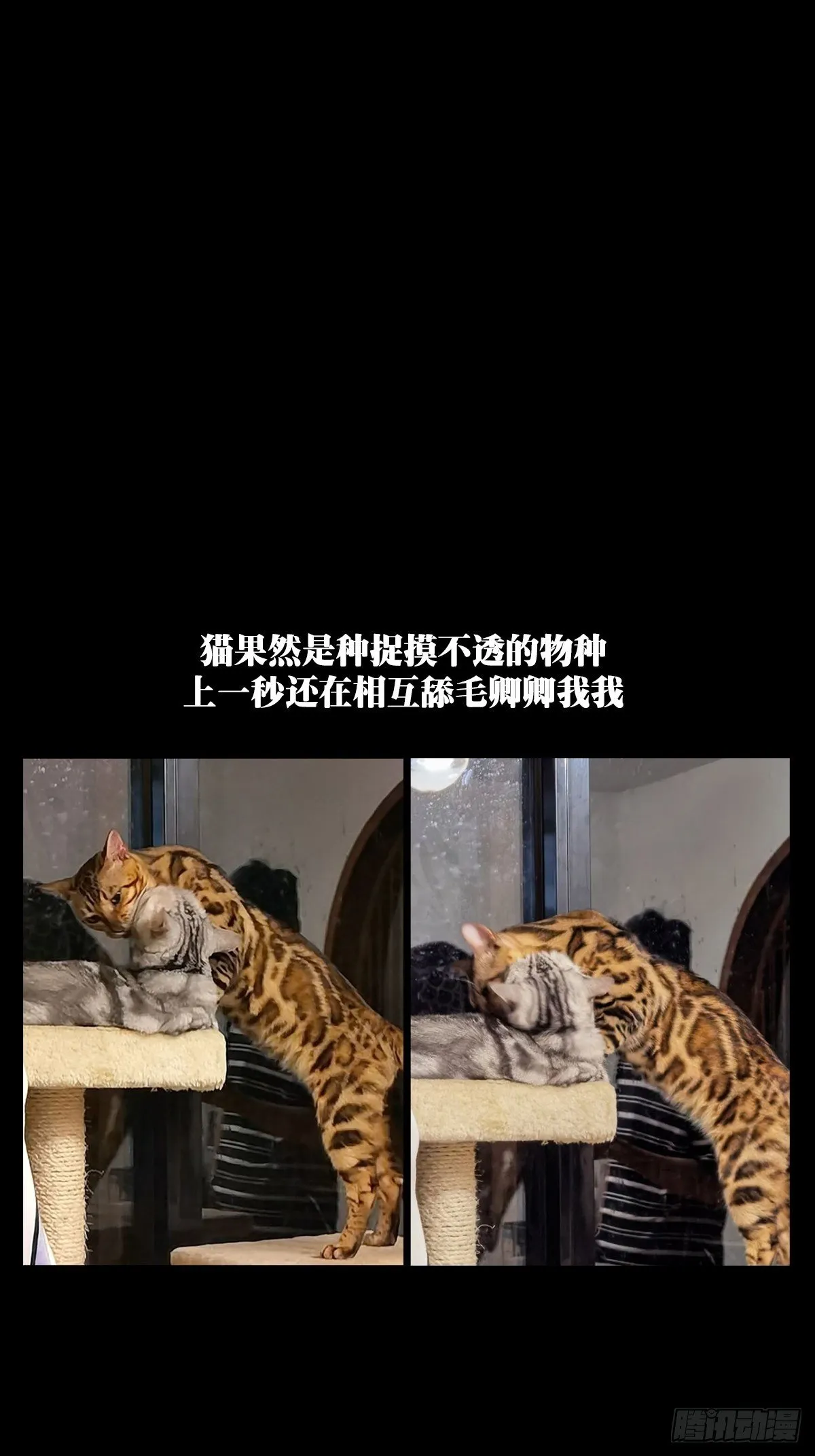 第一百五十八章_约定上 第41页