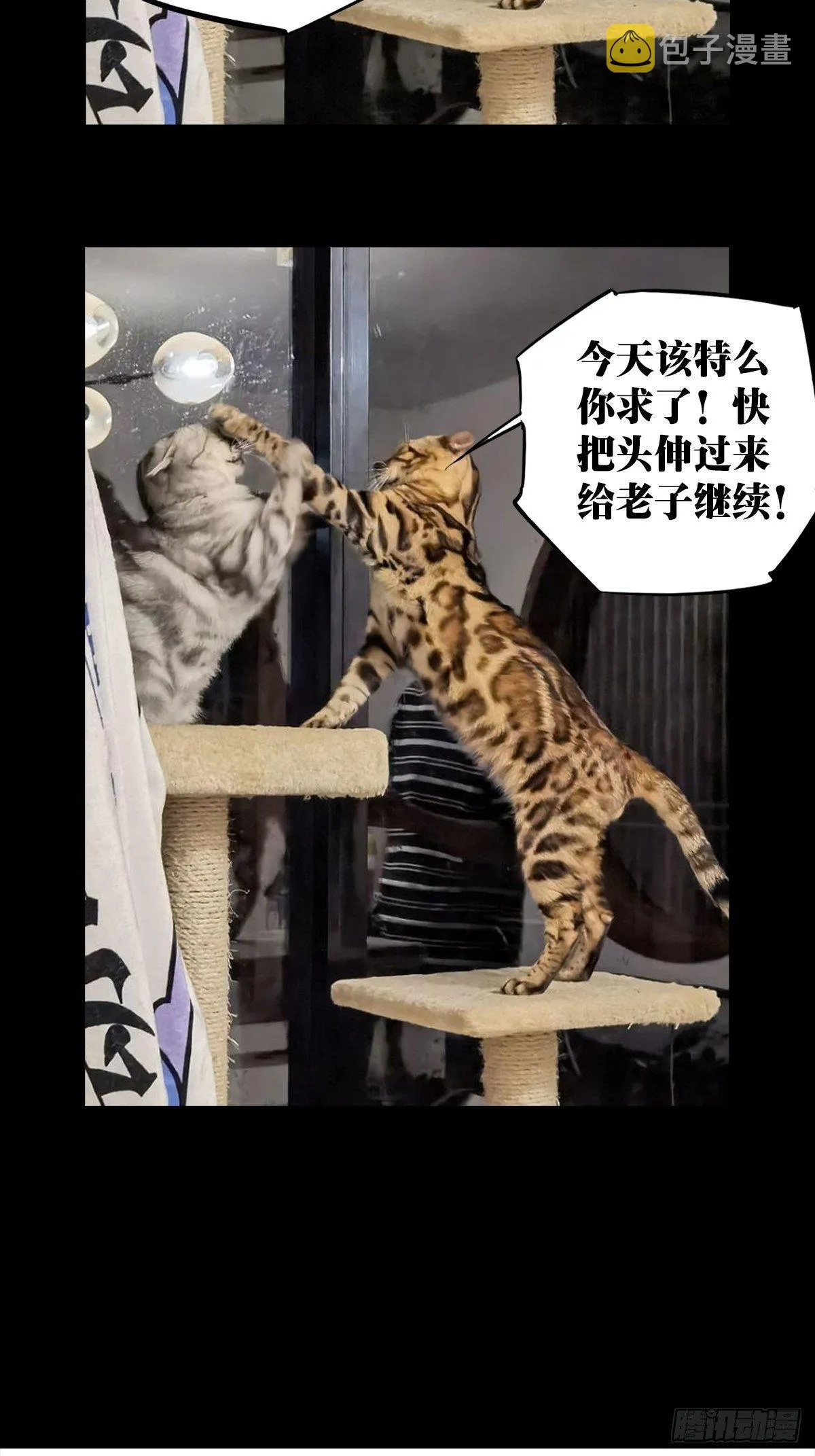 第一百五十八章_约定上 第43页
