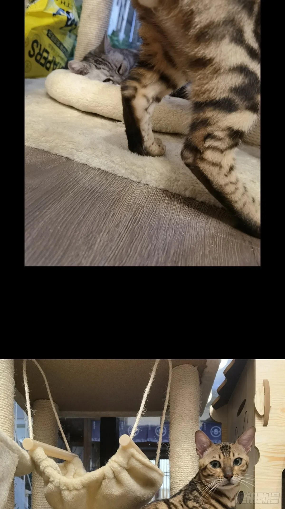 第一百六十三章_会议下 第44页