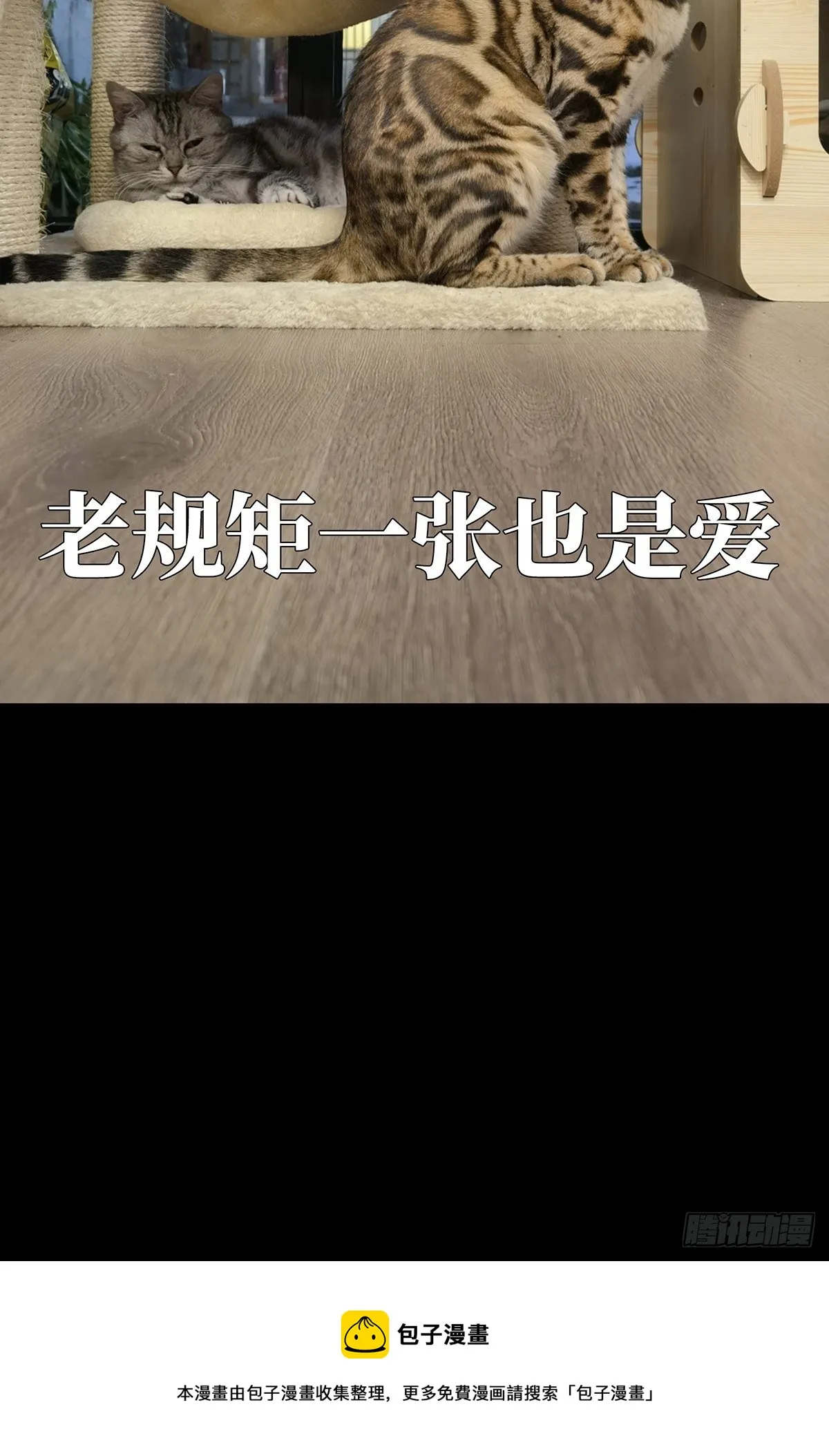 第一百六十三章_会议下 第45页