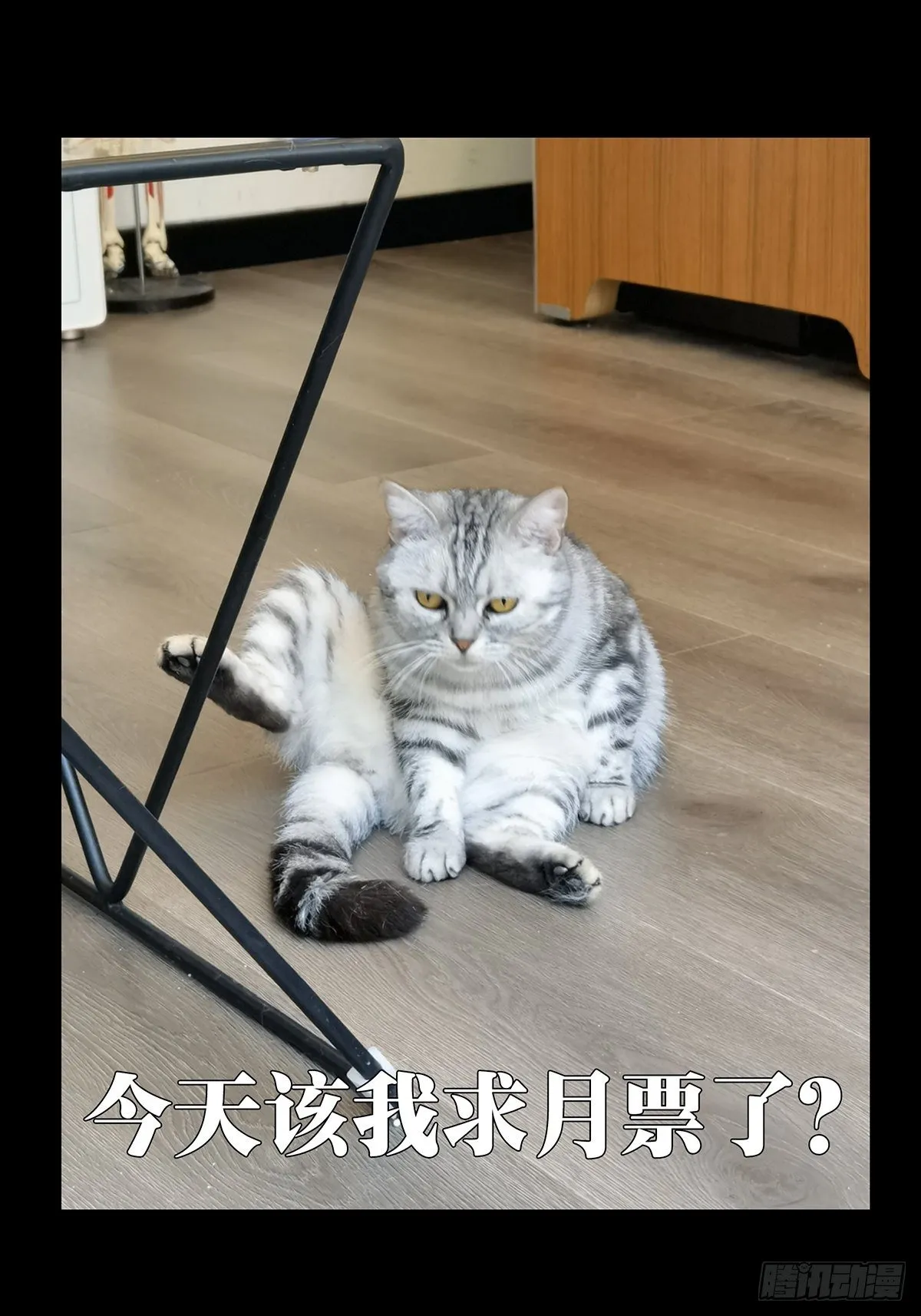 第一百六十五章_牙牙中 第47页