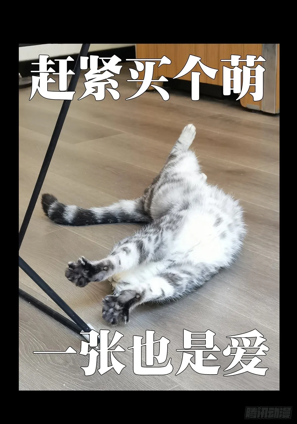 第一百六十五章_牙牙中 第48页