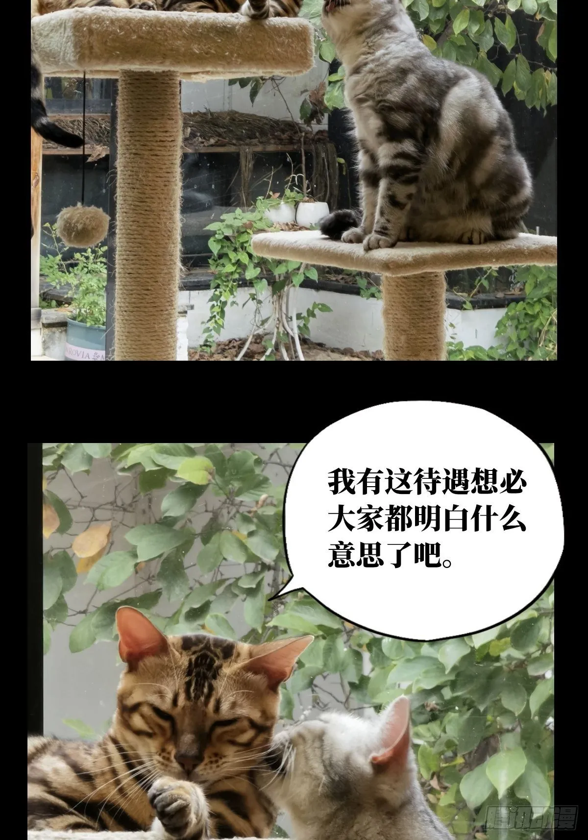 第一百六十六章_牙牙下 第57页