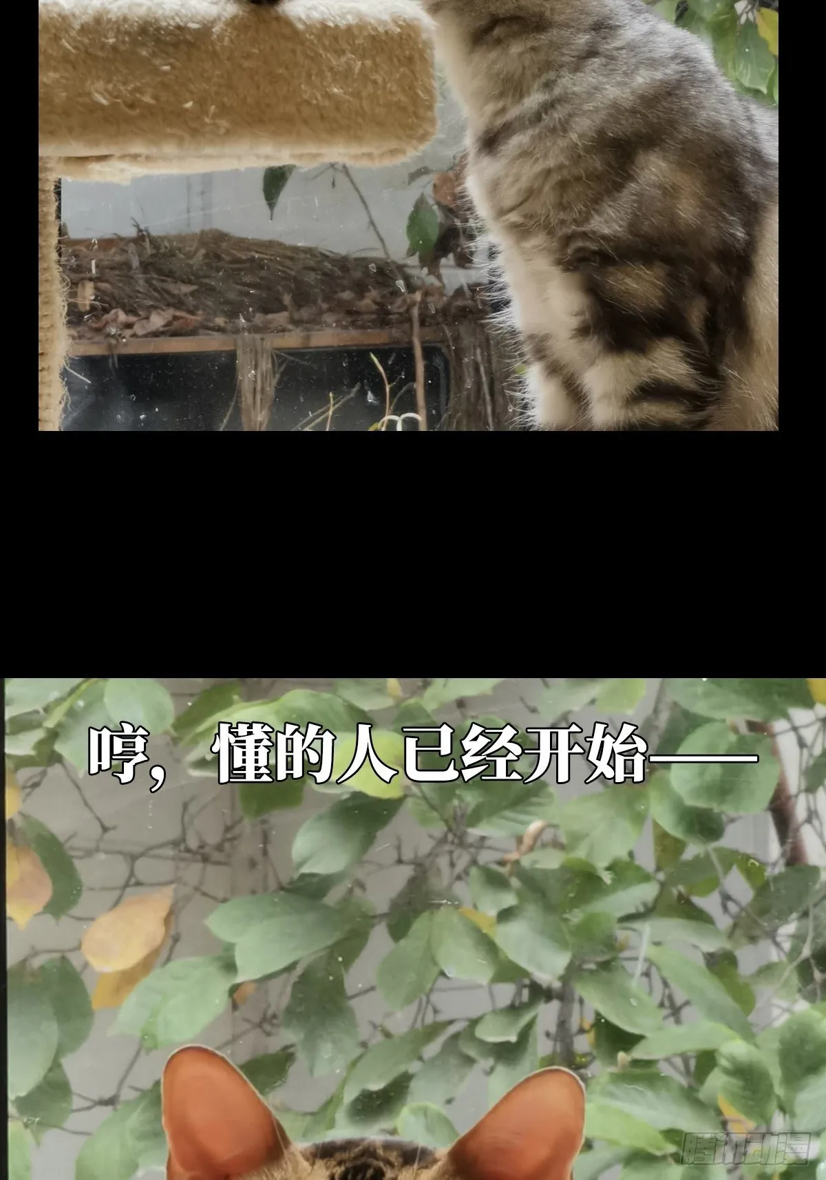 第一百六十六章_牙牙下 第58页