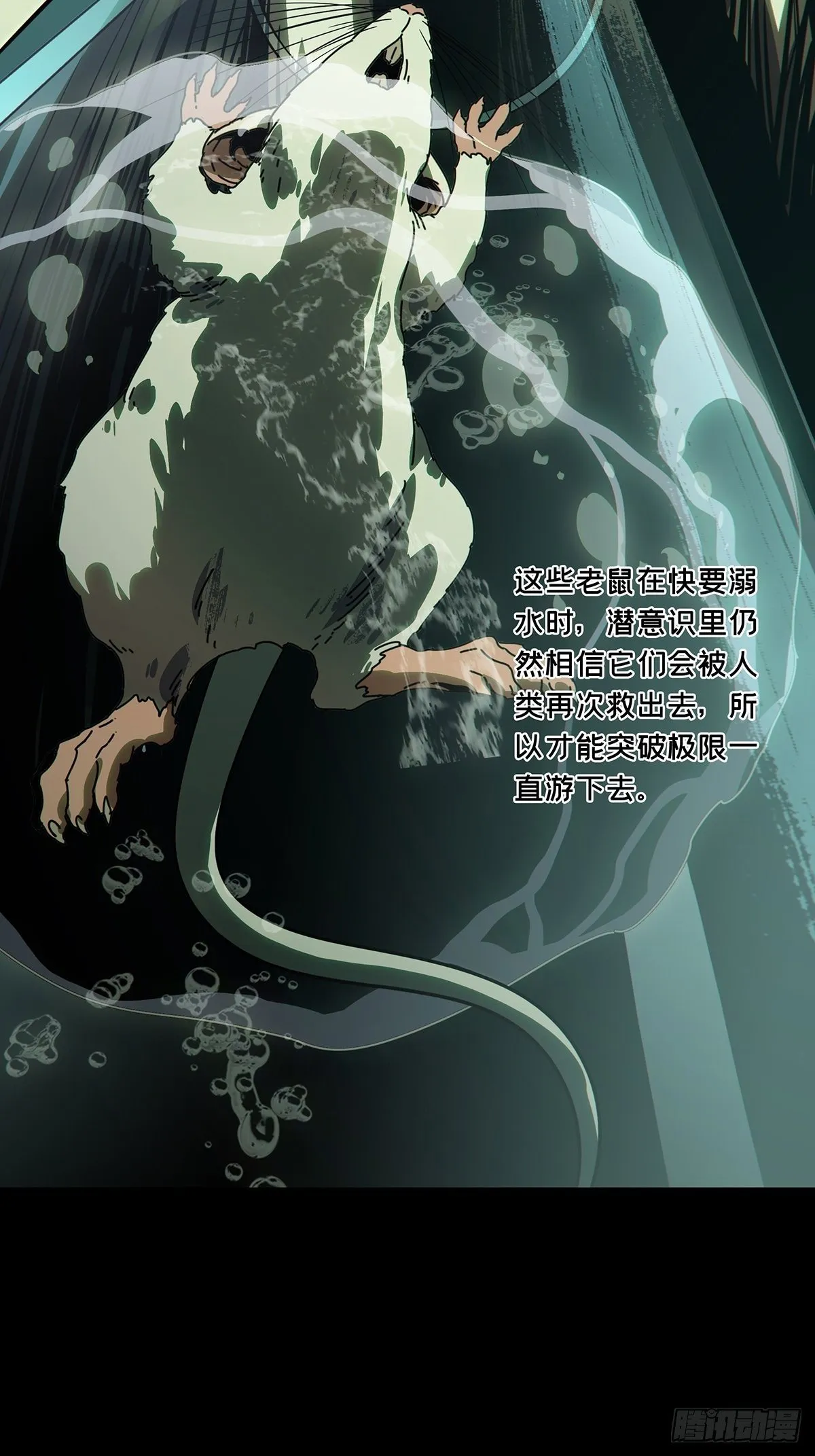 第一百六十八章_希望中 第29页
