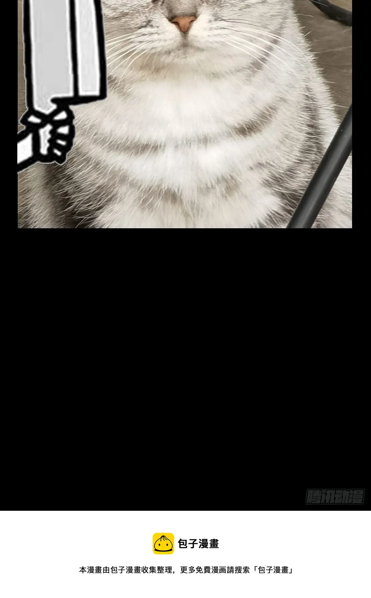 第一百六十八章_希望中 第56页