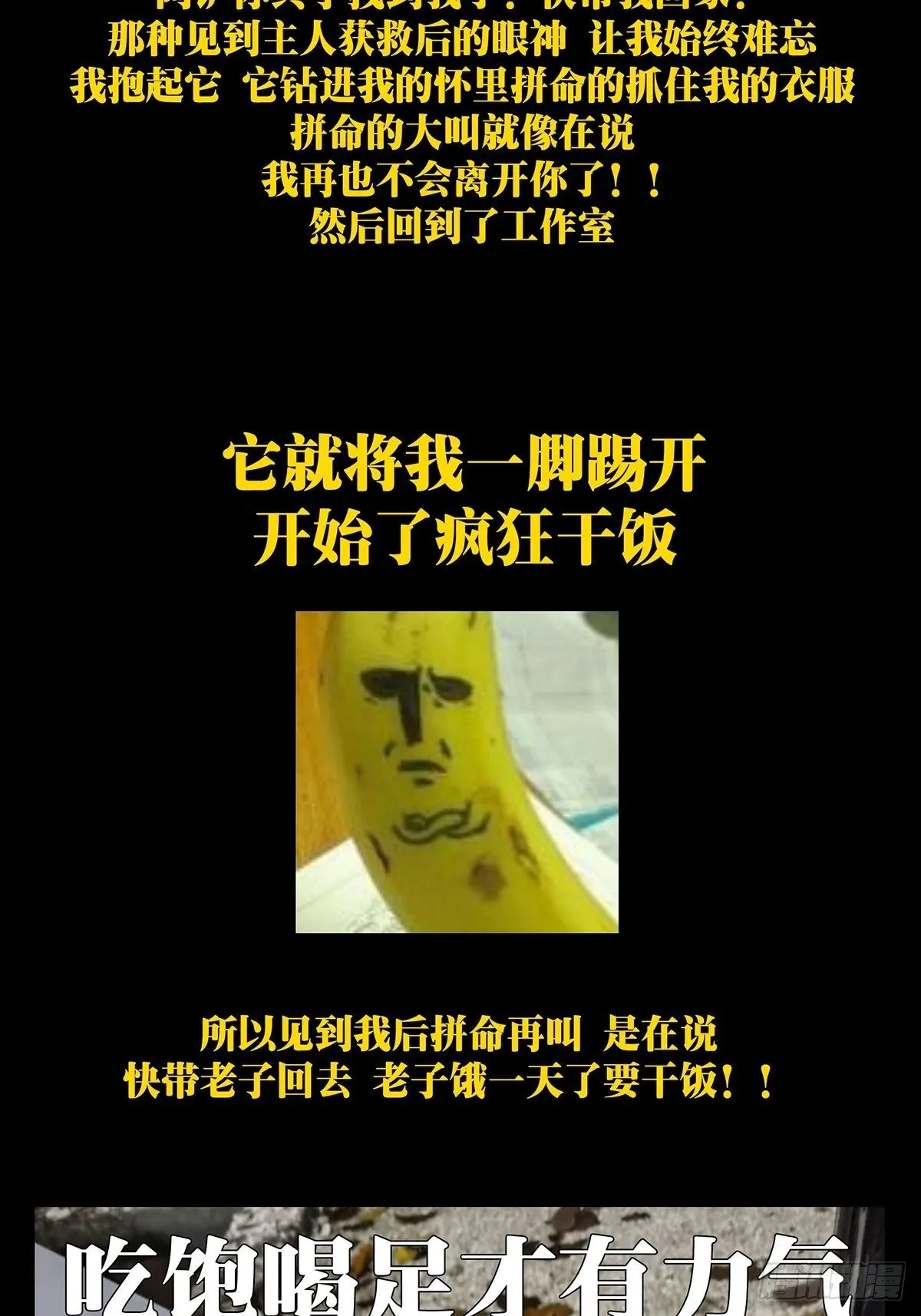 第一百七十章_月茫岛上 第49页