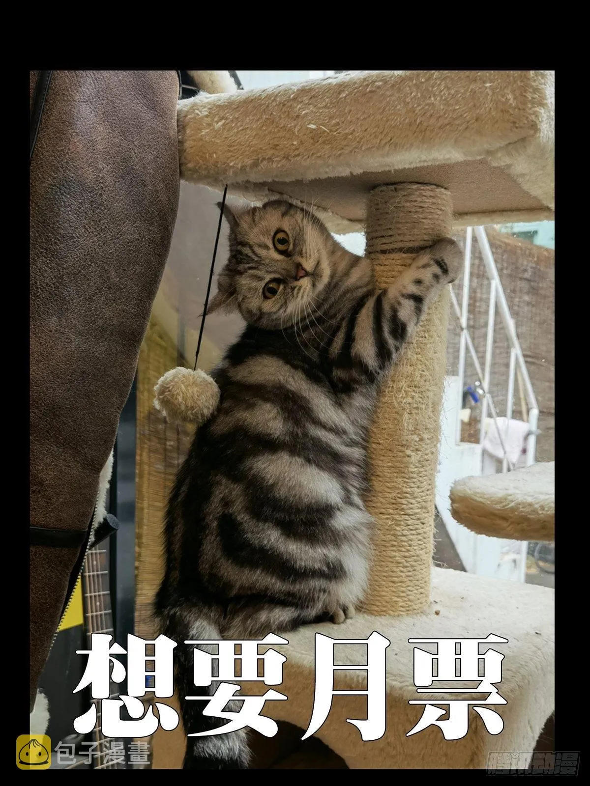 第一百八十八章_反击上 第43页
