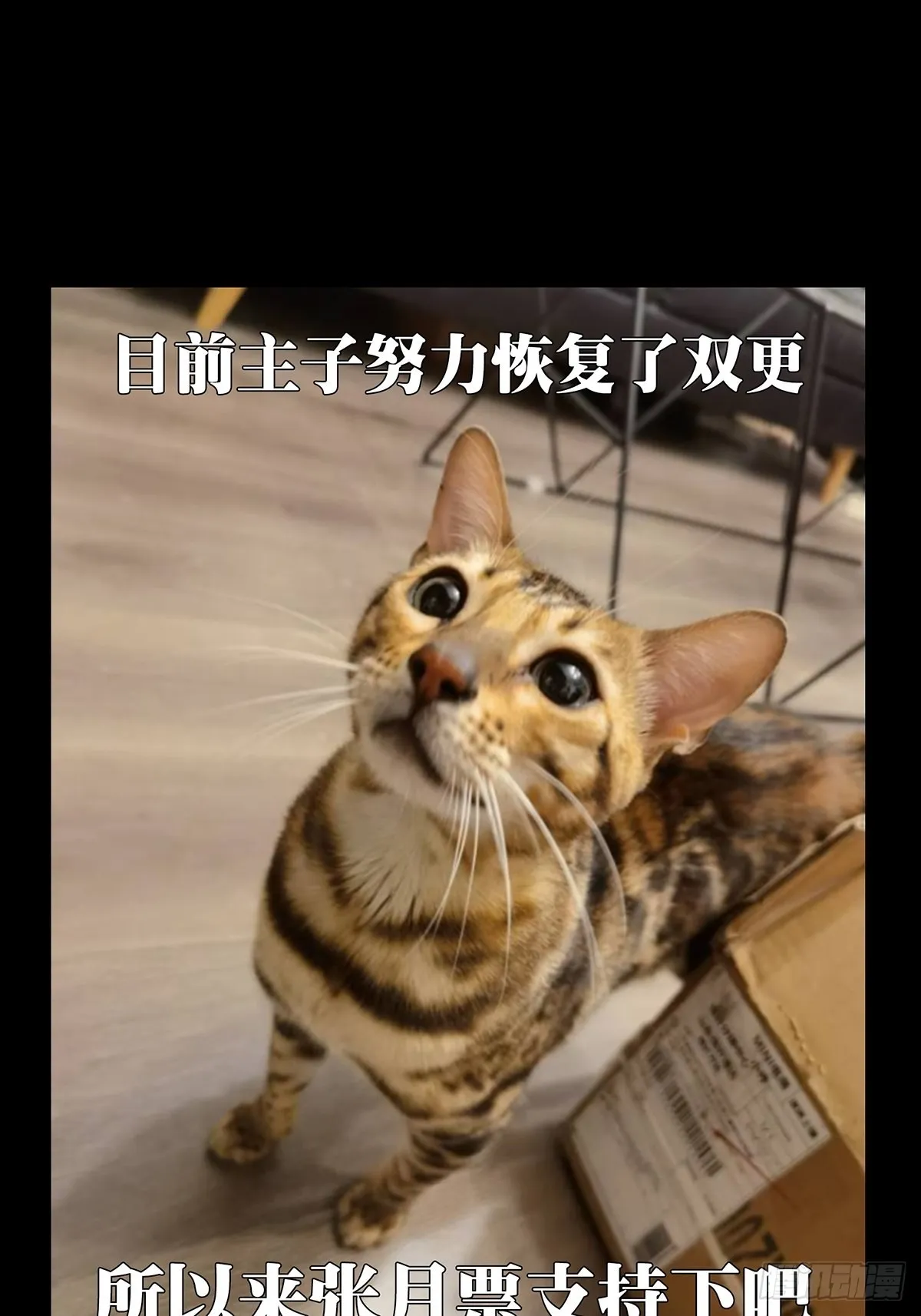 第一百八十九章_反击中 第47页