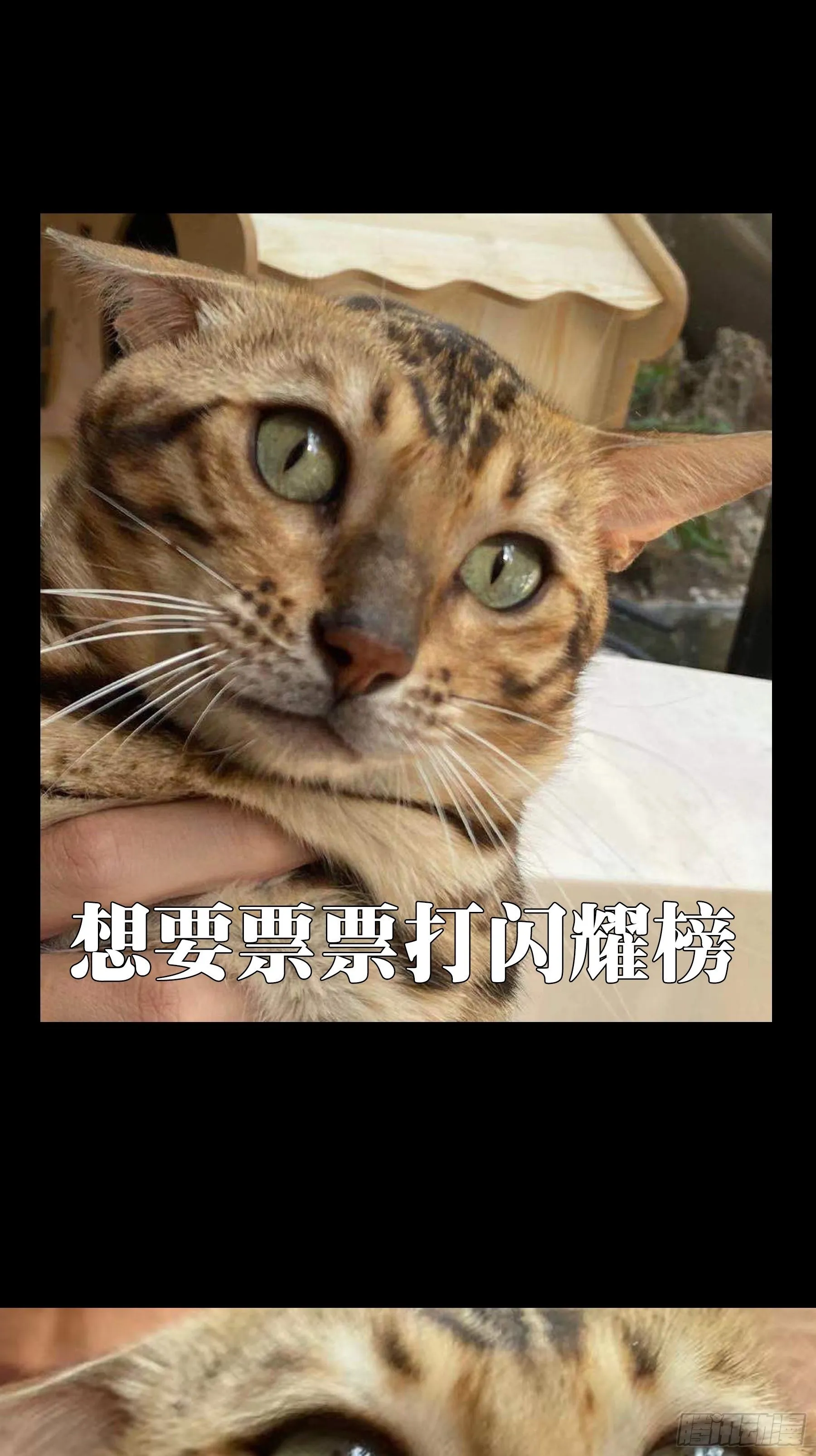 第一百九十三章_活路下 第41页