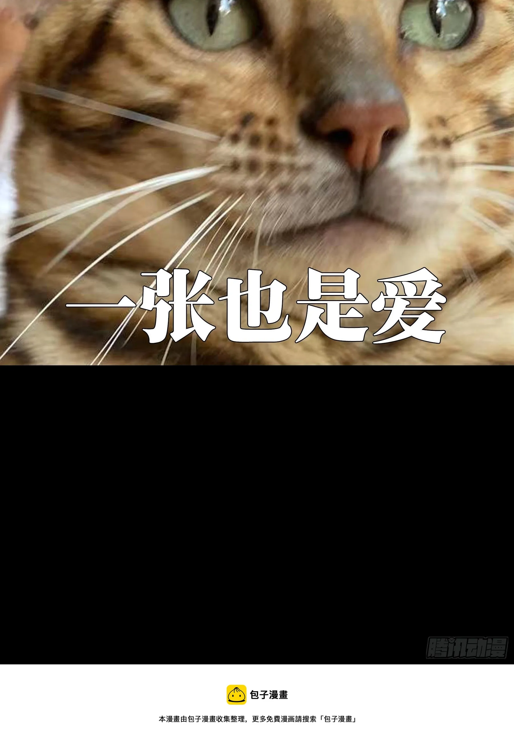 第一百九十三章_活路下 第42页