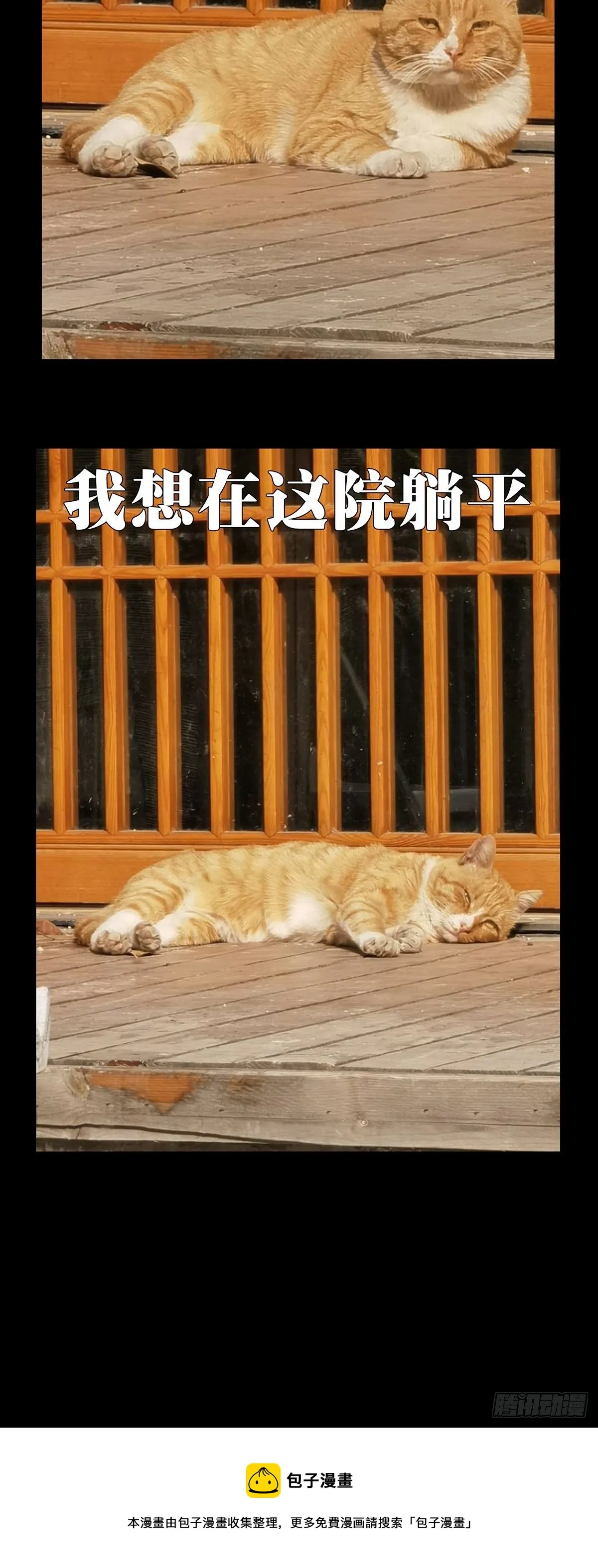 第一百九十九章_轻敌下 第49页