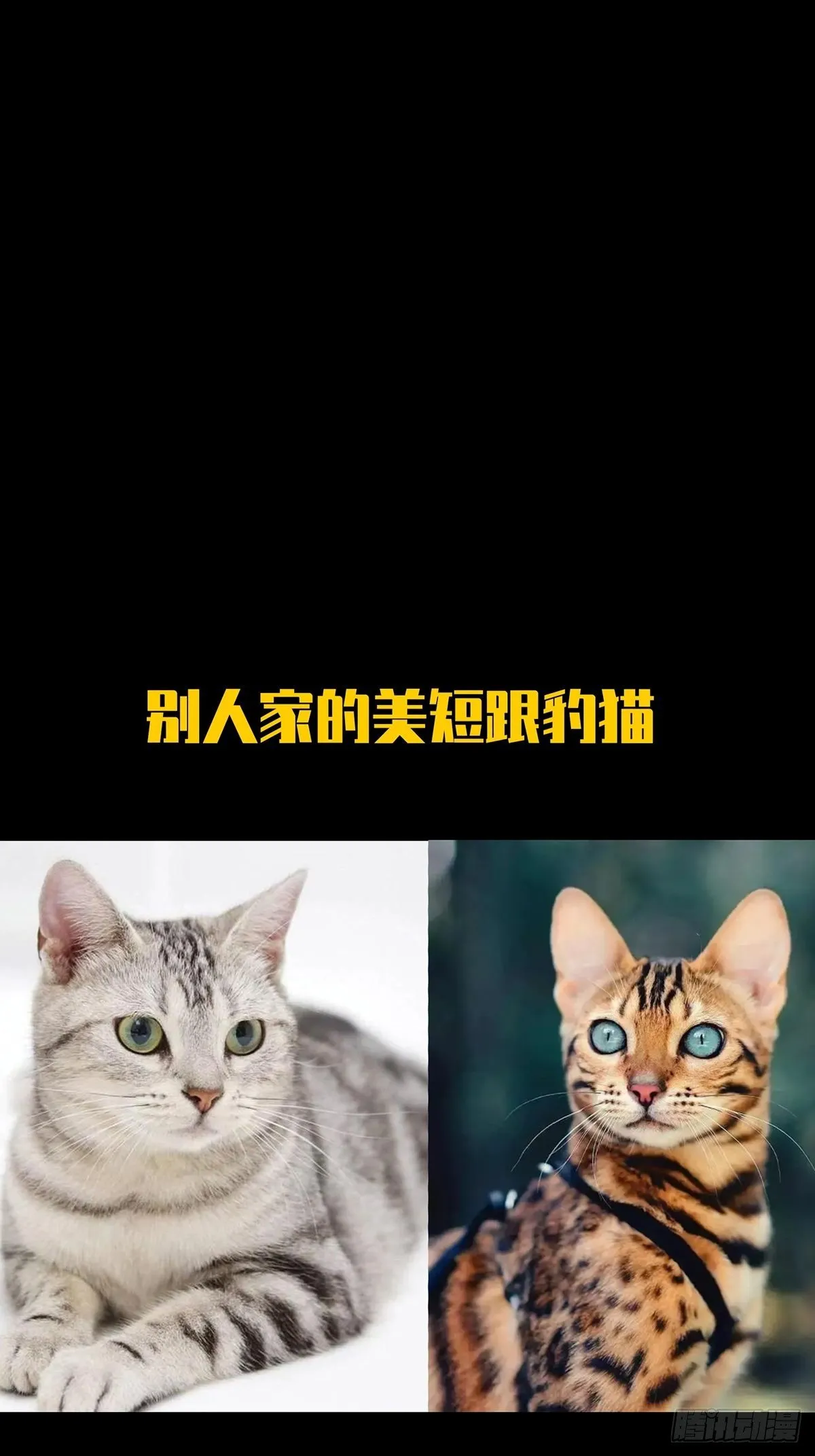 第二百零八章_飞蛾扑火下 第46页
