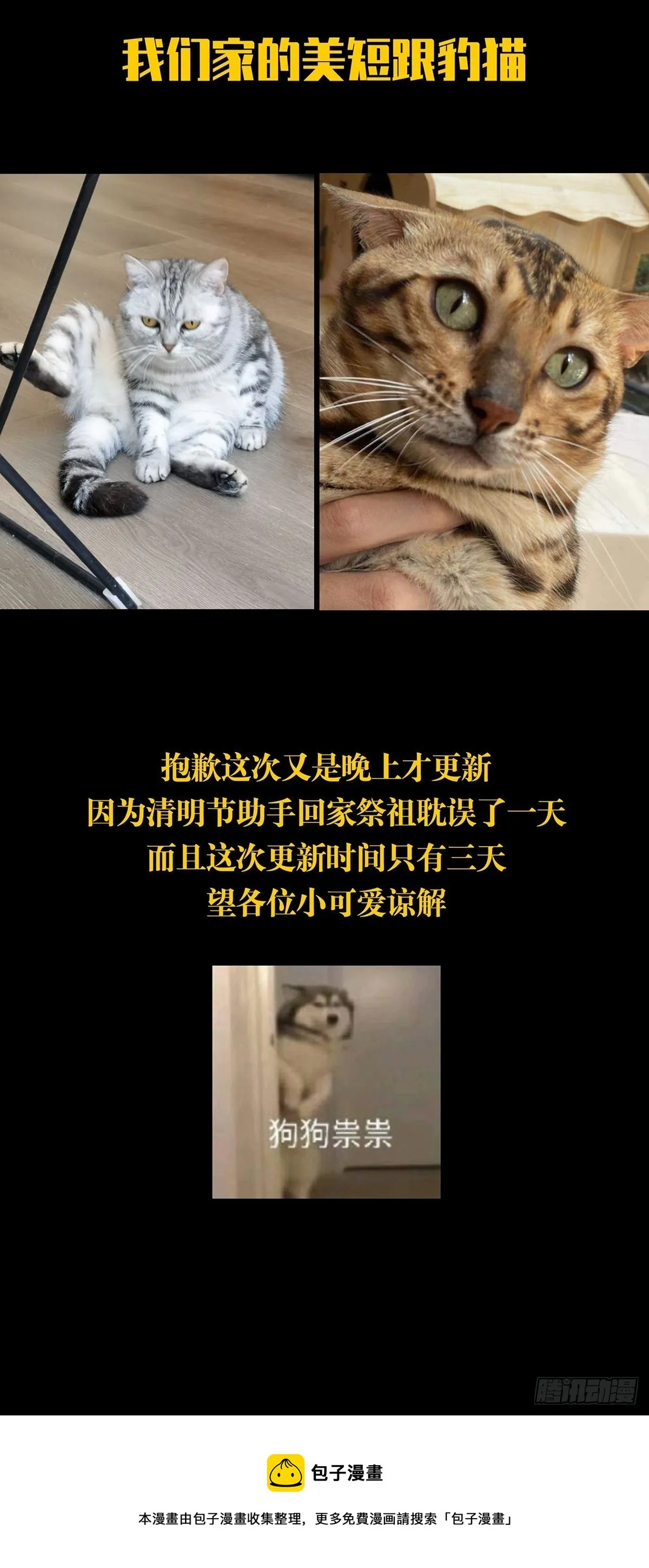 第二百零八章_飞蛾扑火下 第47页