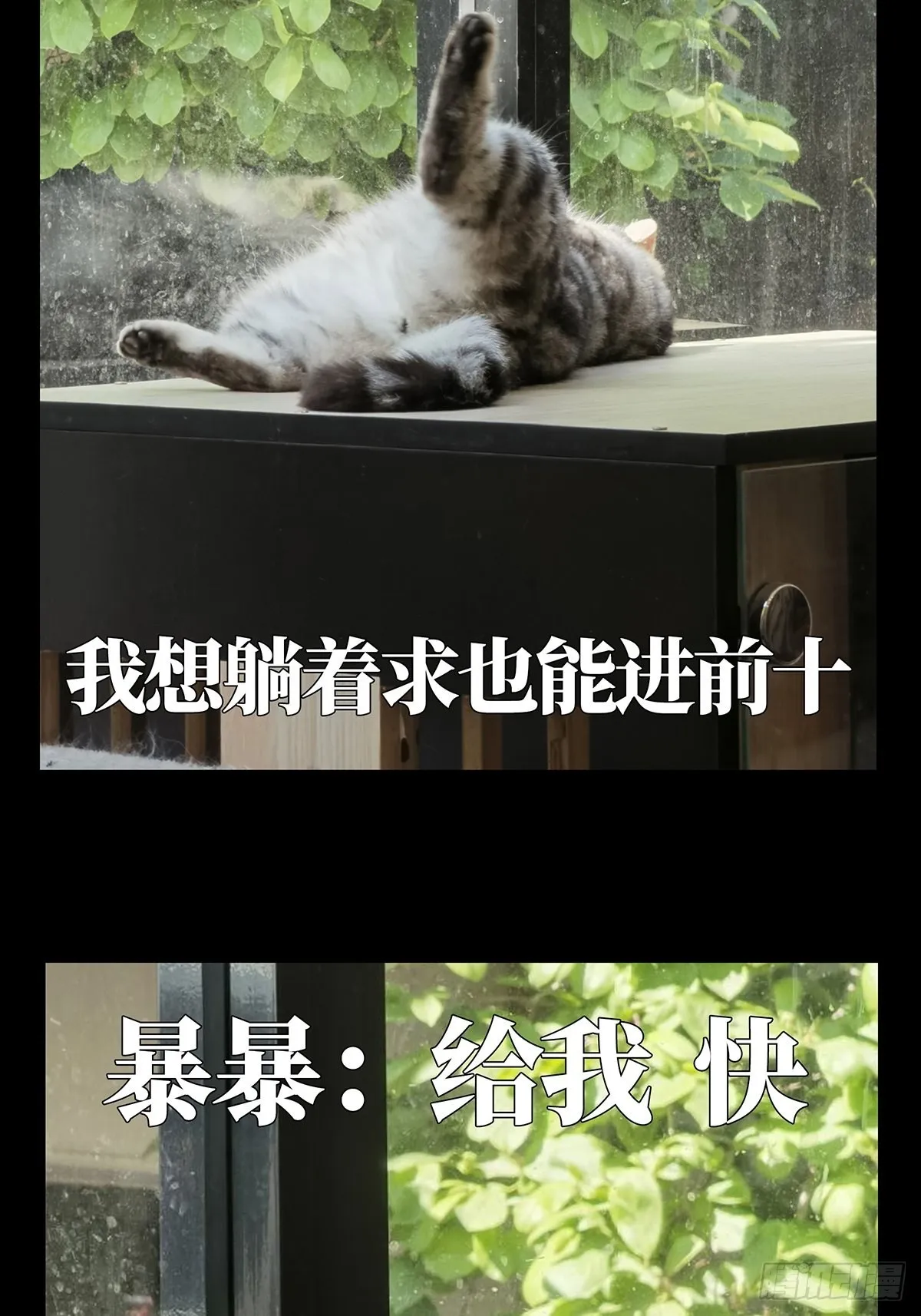 第二百一十七章_新师父下 第44页