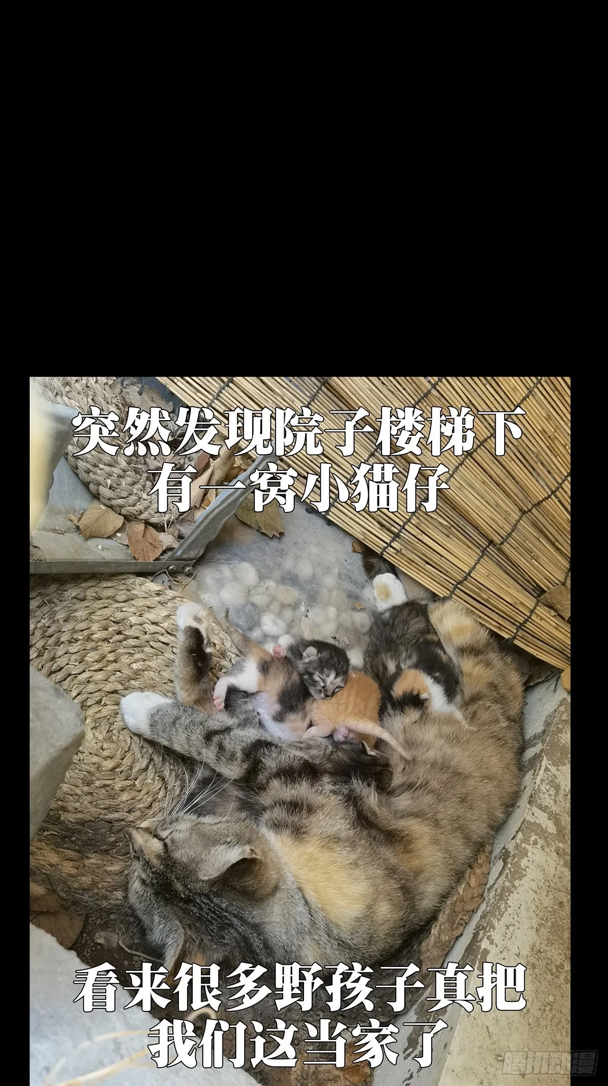 第二百一十六章_新师父中 第46页