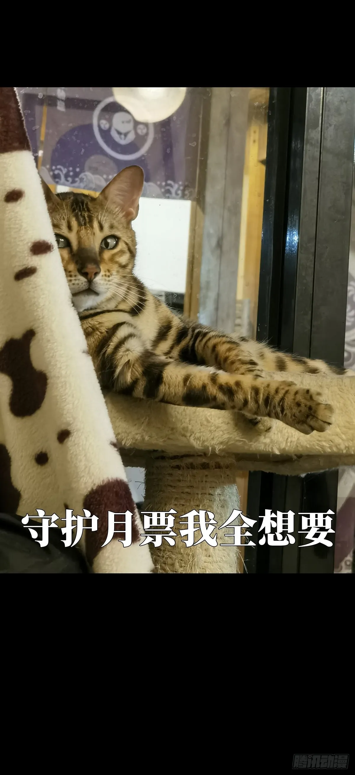 第二百二十四章_夺魁赛开始中 第38页