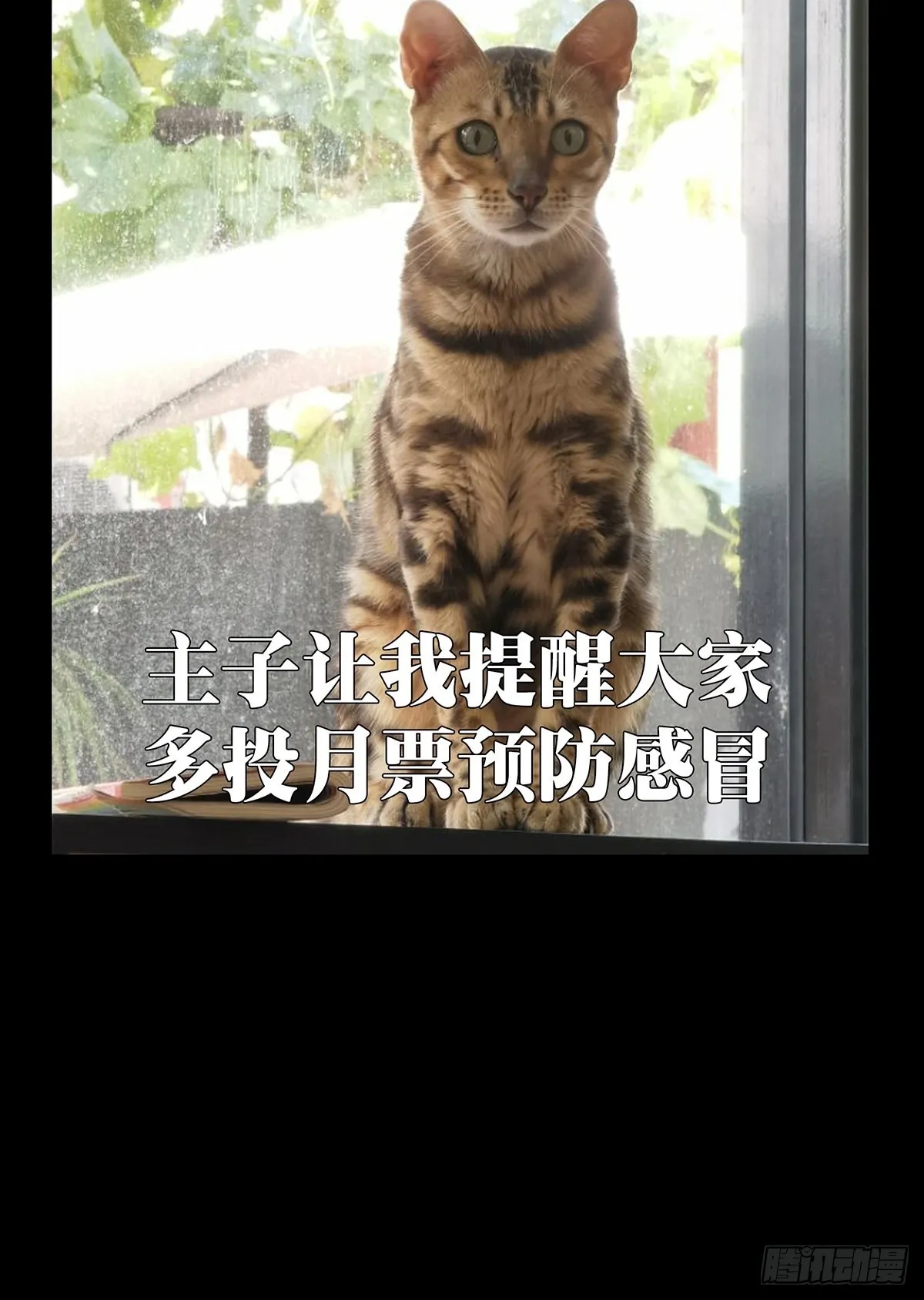 第二百四十七章_躺平上 第49页