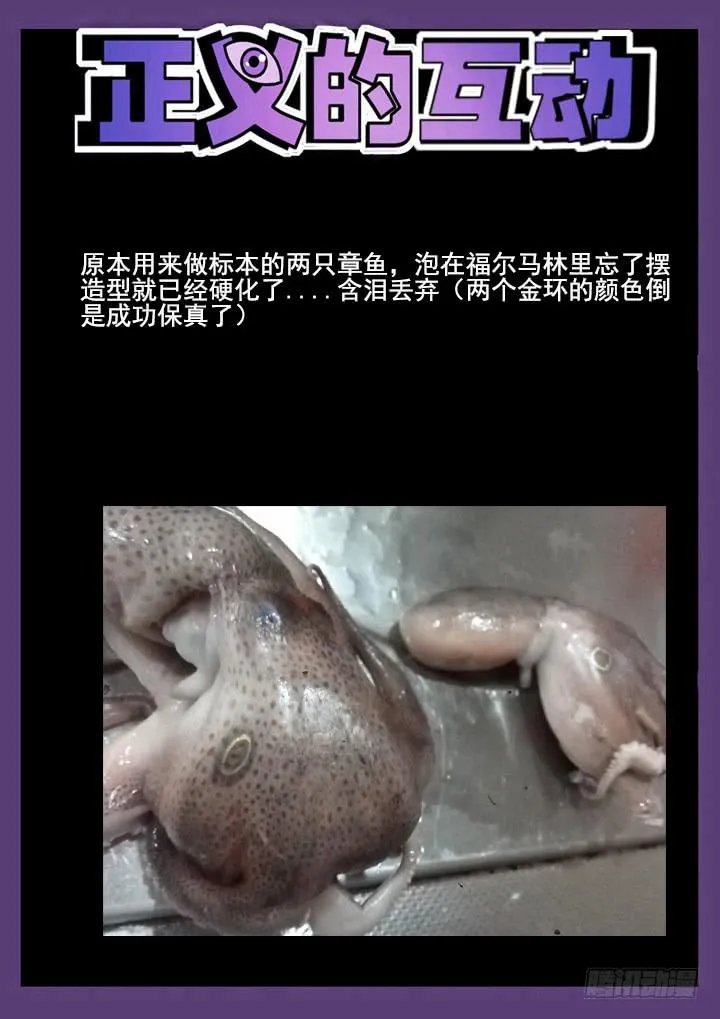 18眼 证据之犬 第11页