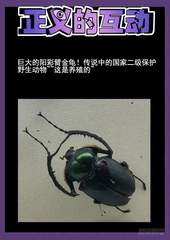 20眼 速度超越死亡 第10页