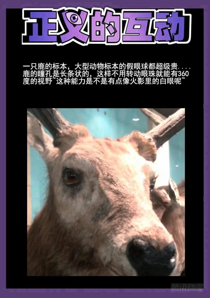 33眼 两男一书，共处密室 第12页