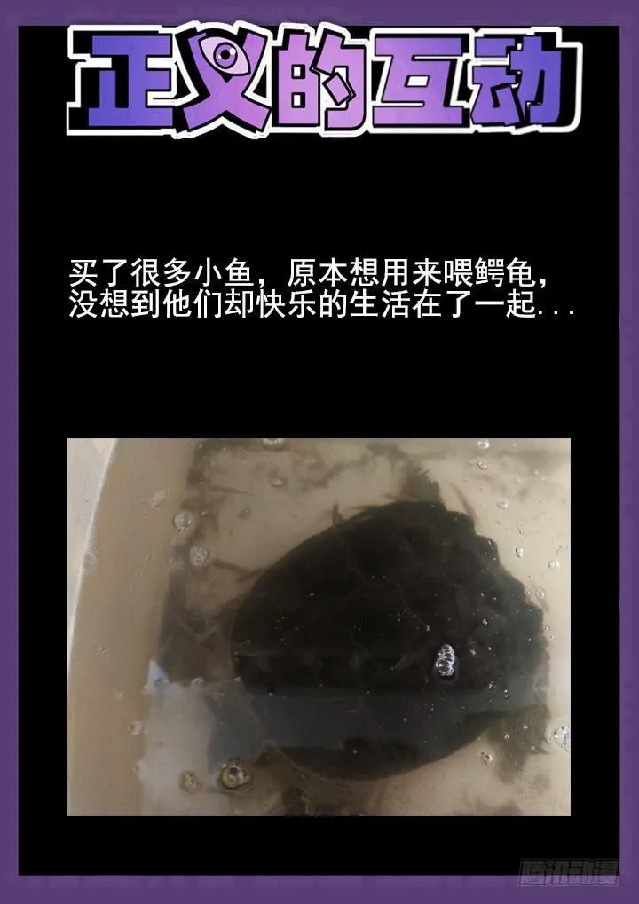 61眼 后入式偷窥 第11页